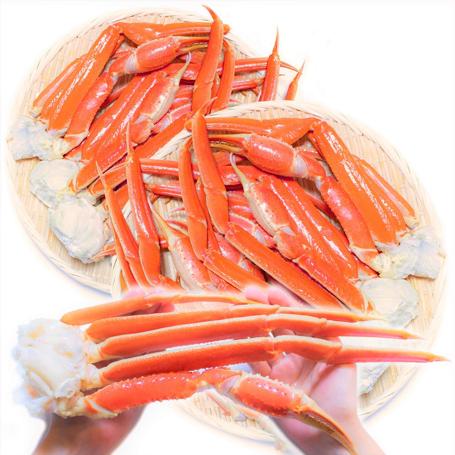 黒帯 ズワイガニ 足 特選 プレミアム 天然 ボイル 本 ずわい 蟹 脚 特大 良品選別済 かに