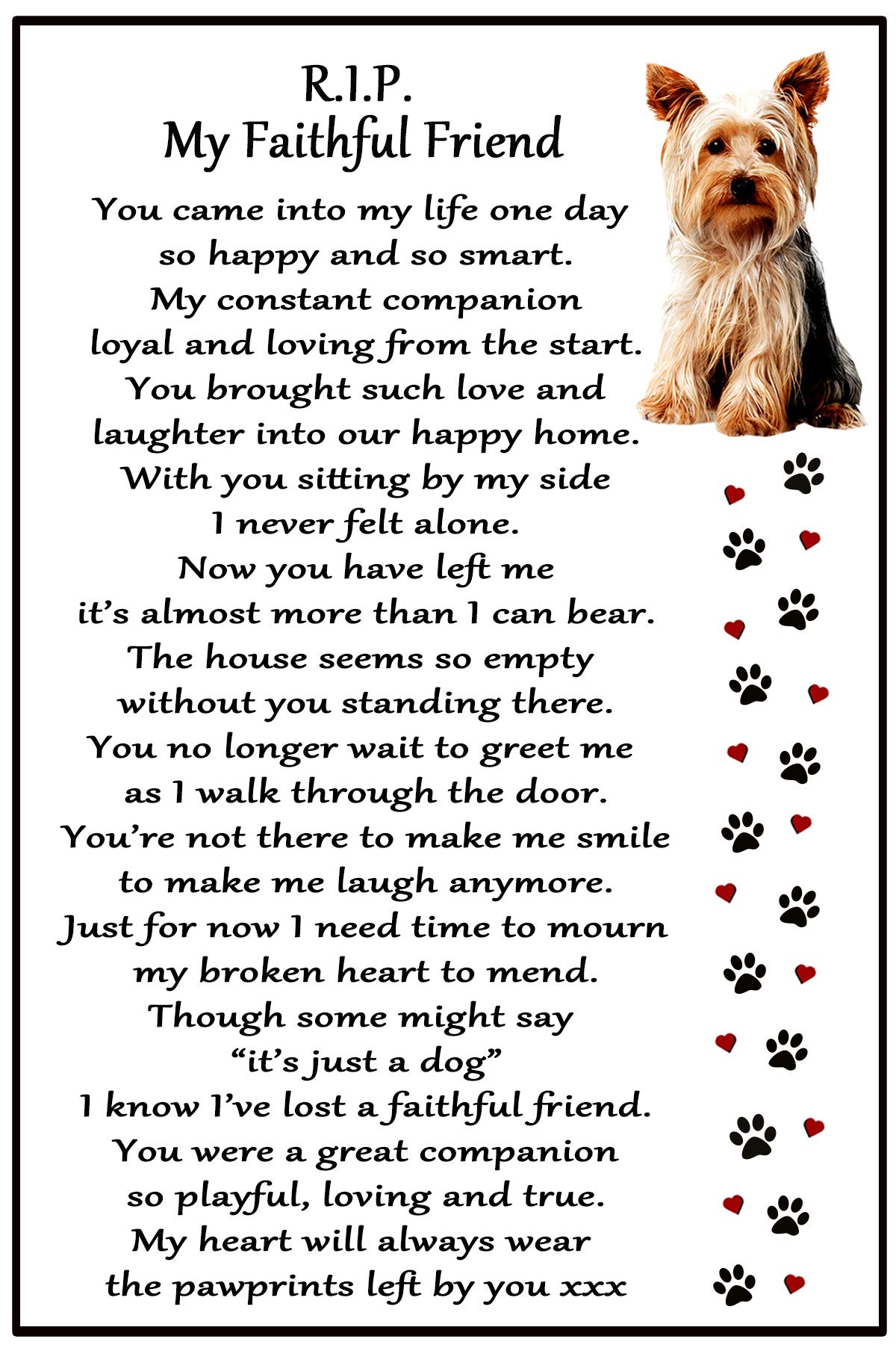 Fridge Magnets White Yorkshire Terrier Dog Gift Magnet - Rip My Faithful Friend - Bereavement, Dog Loss, Sympathy, Remembrance, Memorial Flexible Magnet 6" X 4"