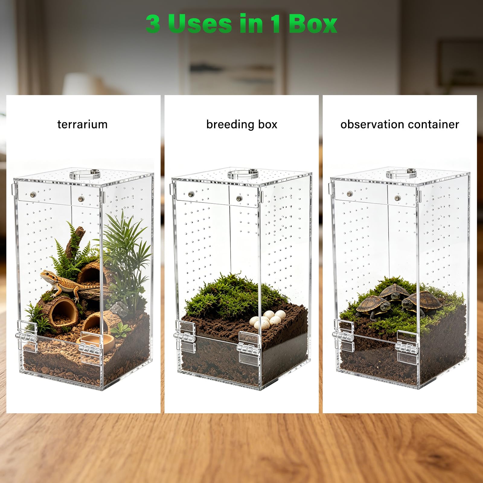 Homtone Akrylowe terrarium, terrarium owadów, terrarium ślimakowe z drzwiami magnetycznymi i otworem na karmę, odpowiednie dla pająków, ślimaków i owadów (10 x 10 x 20 cm)
