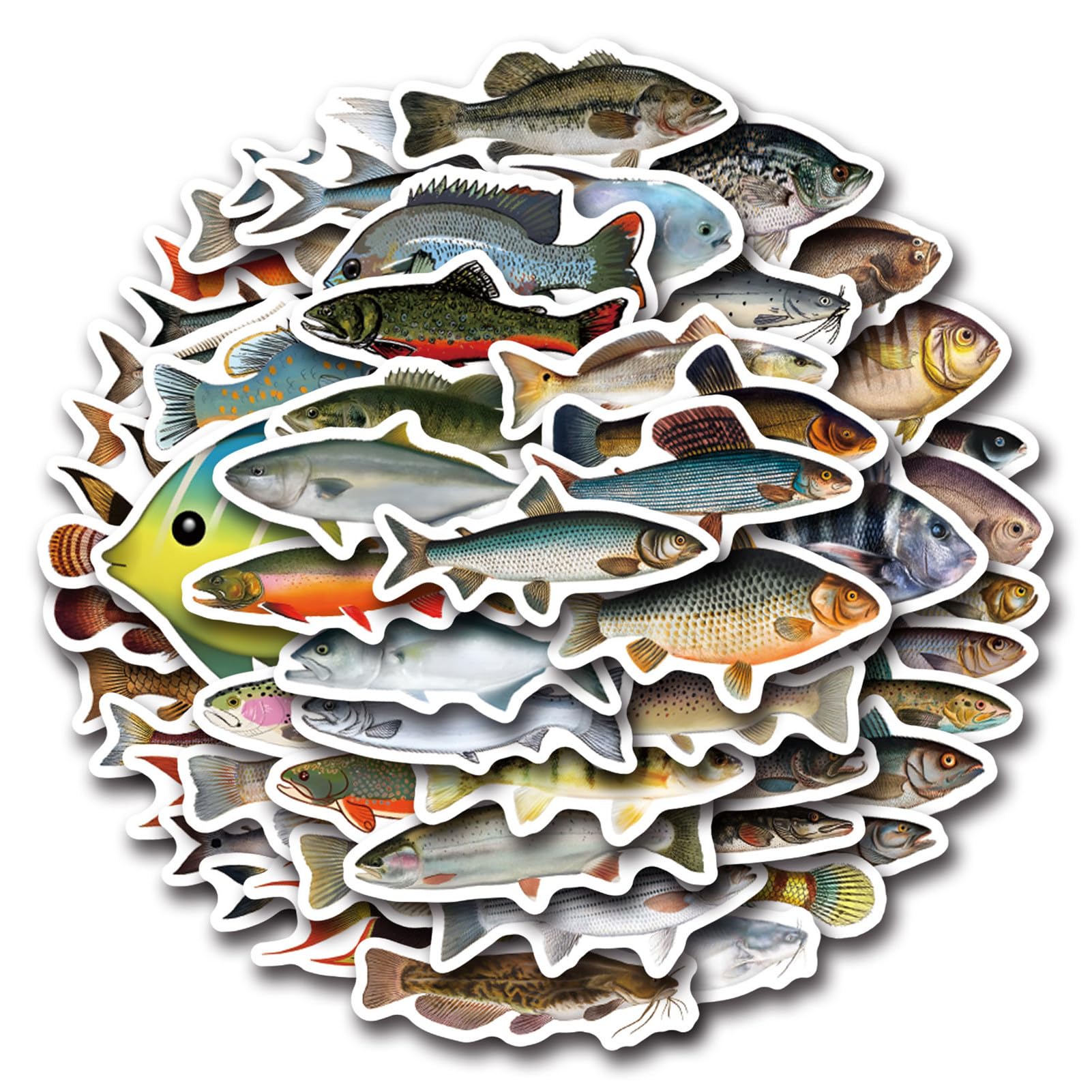 55 Pcs Deep Sea Fish Sticker Pack for Kids Teens, Funny Fish Vinyl Waterproof Stickers and Decals for Water Bottles Laptop Phone Motorcycle Computer