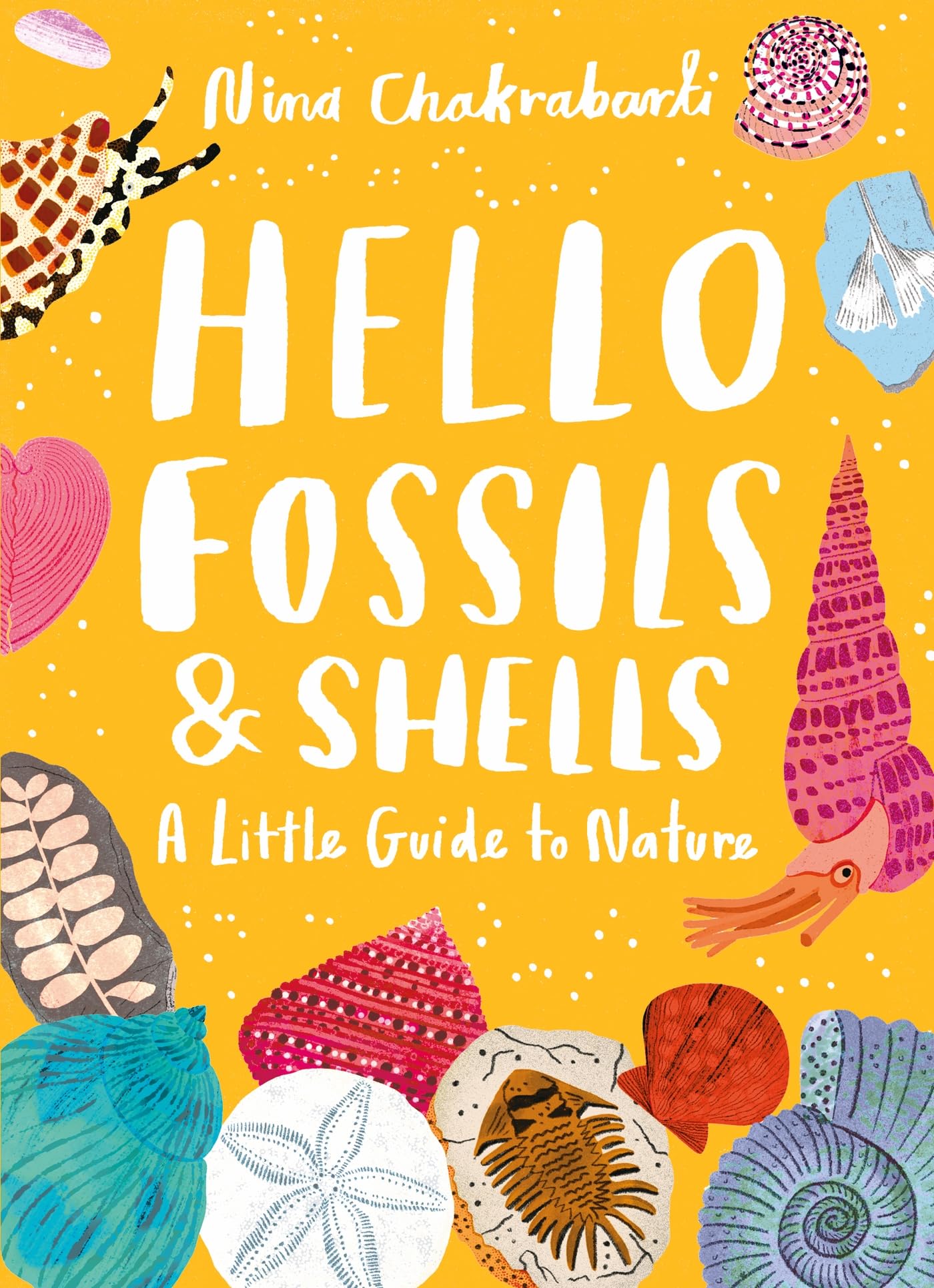 Hello Fossils and Shells (Little Guides to Nature)
