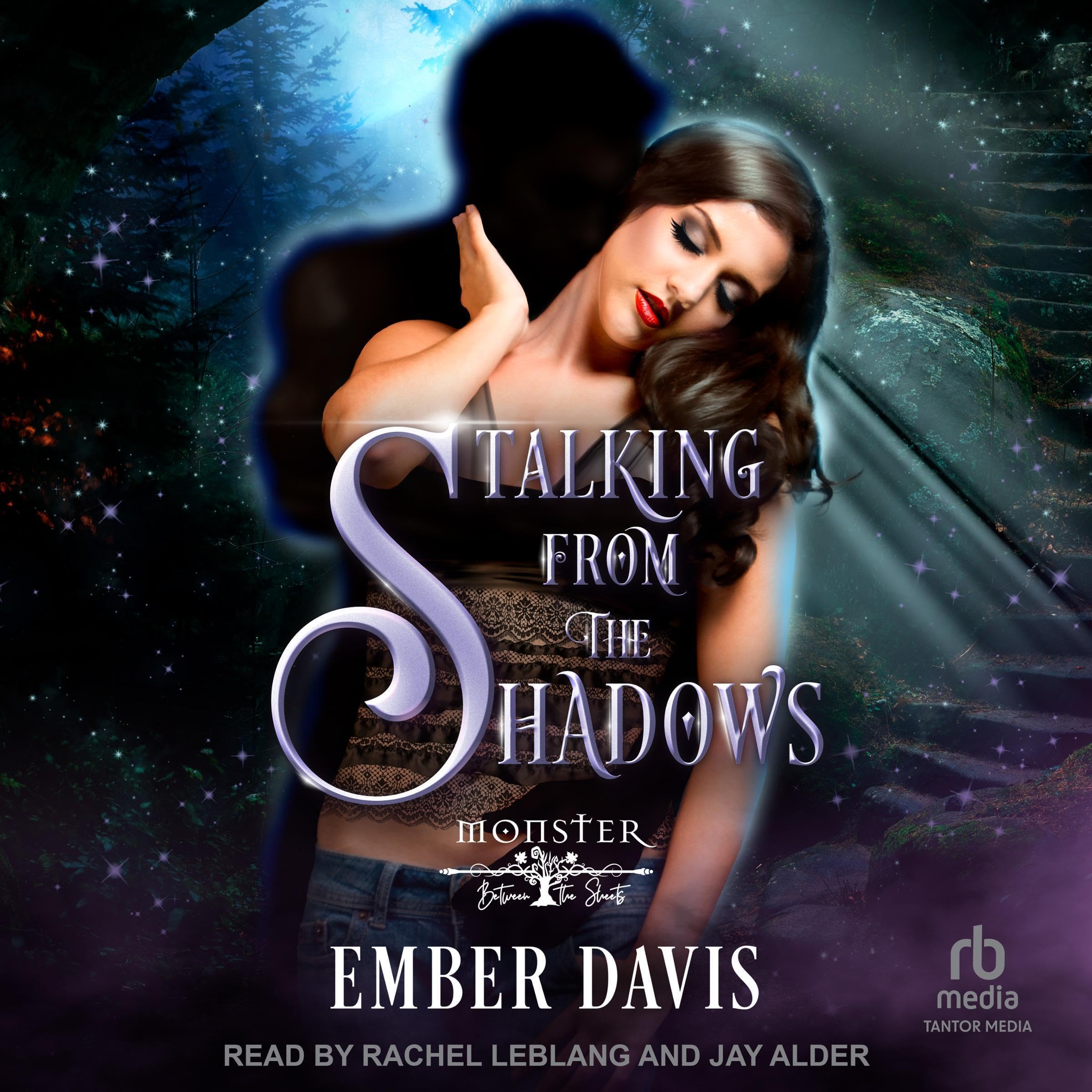 Cover art for Stalking From the Shadows