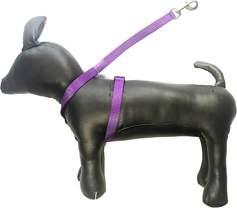 Happy strap dog grooming Clearance