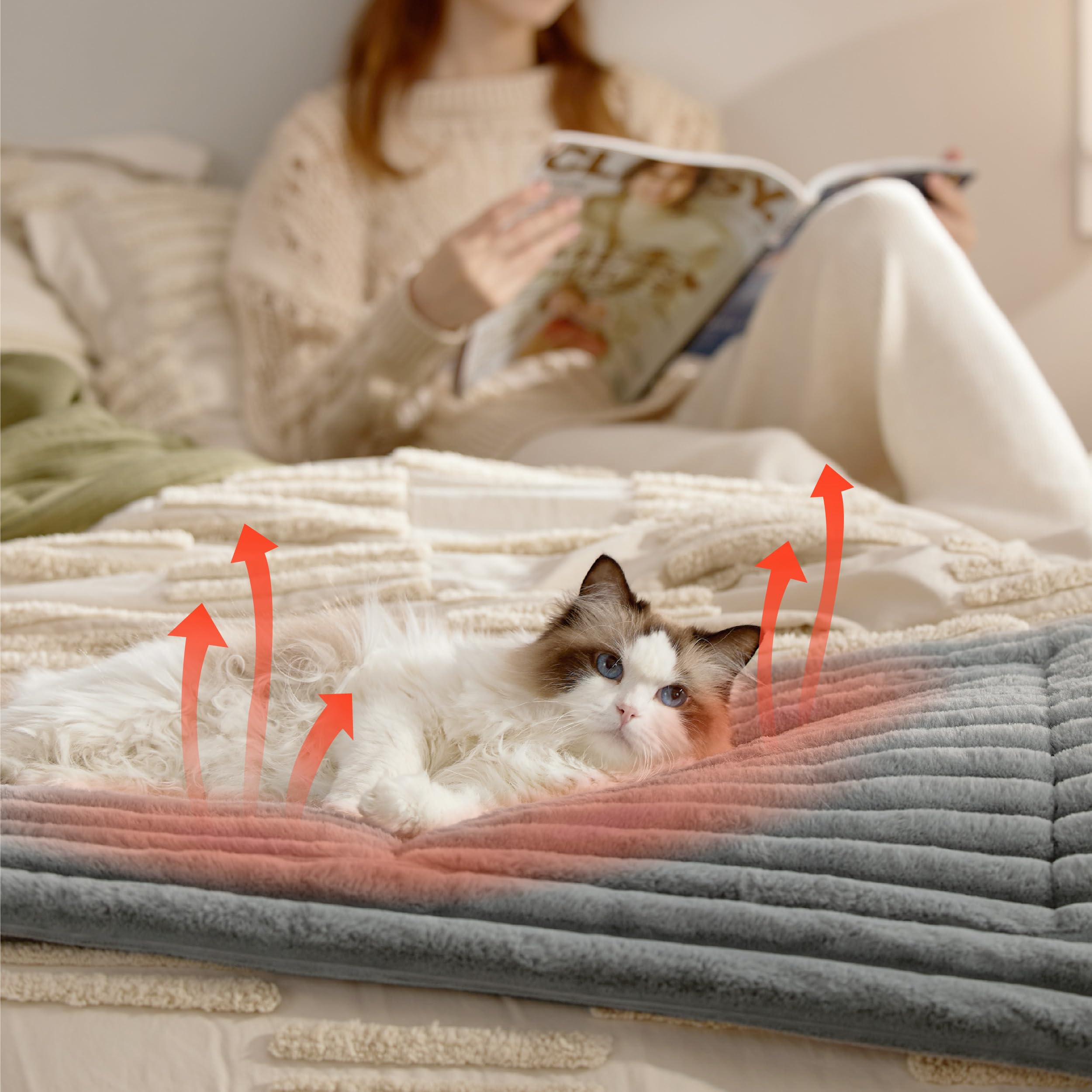 BEDSURE selbstheizende Decke für Katzen & Hunde - 61x46 cm Katzenbett waschbare wärmedecke Katze, selbstwärmende Katzendecke, wärme Hundematte Rutschfester Unterseite kleine Hundekäfigmatratze, Grau