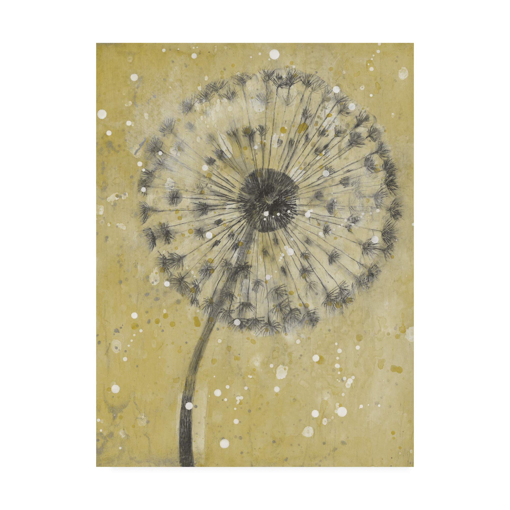 Trademark Fine ArtDandelion Abstract I by Tim OToole, 14x19