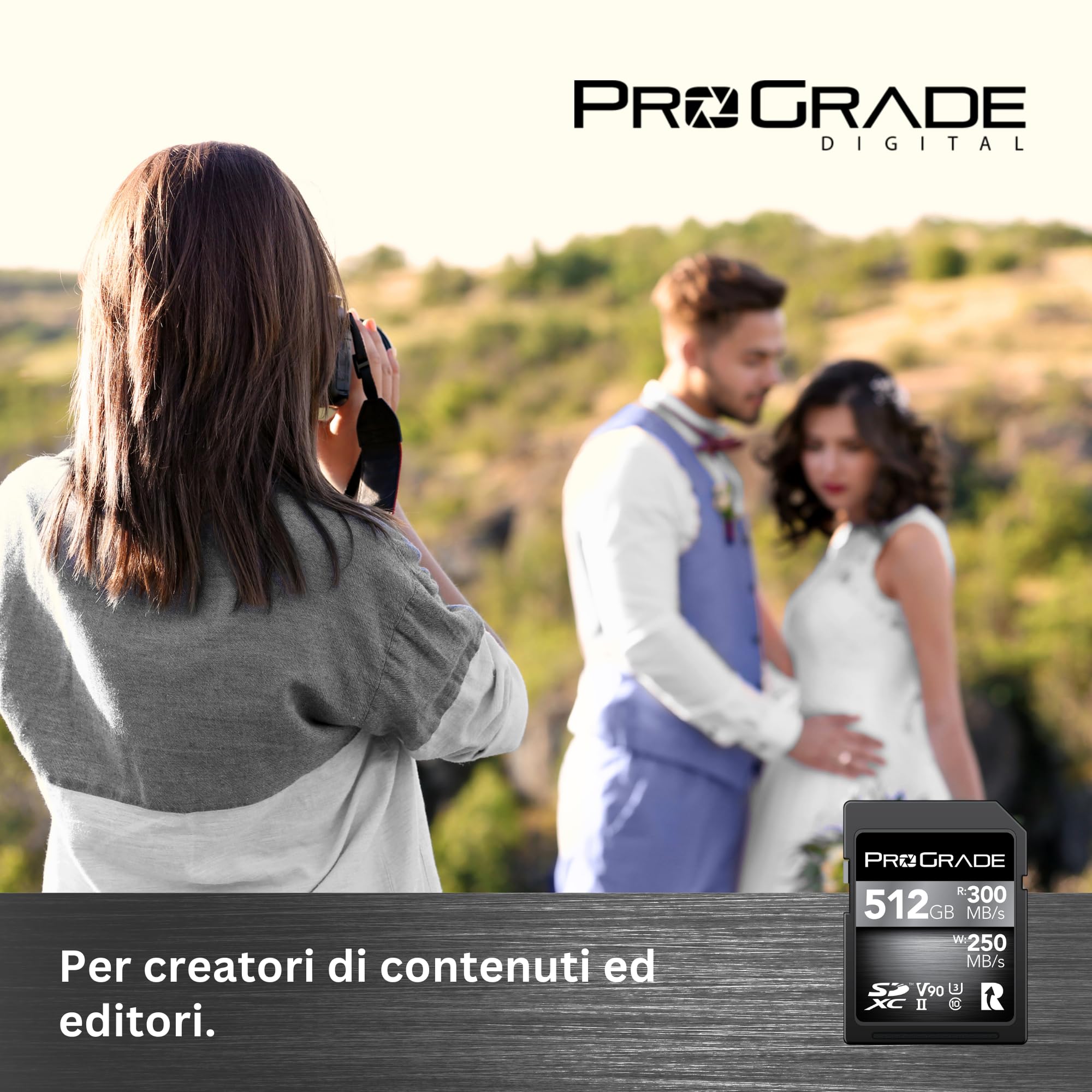 Scheda di memoria ProGrade Digital SDXC UHS-II V90 300R (512GB)