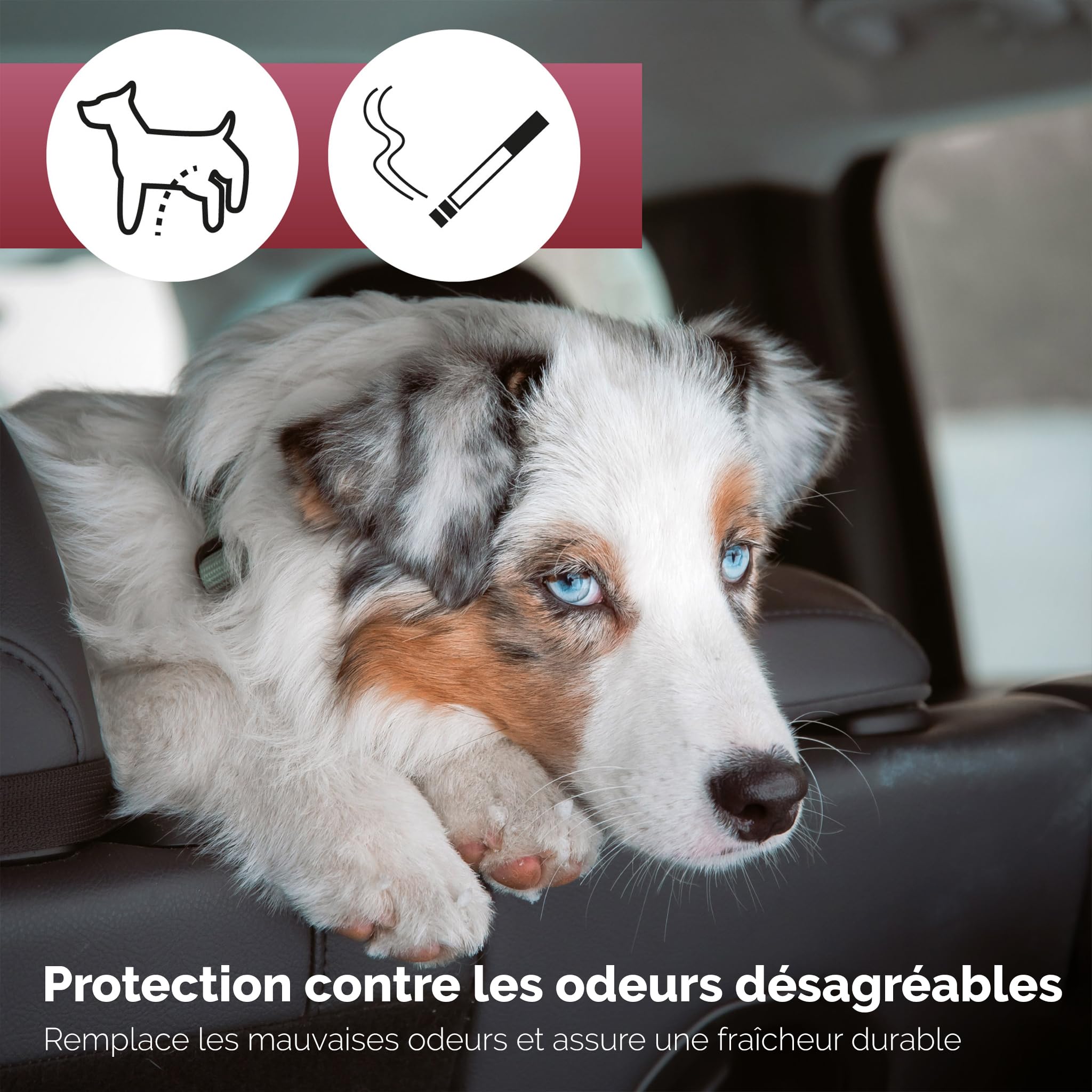 OA Car Aroma Cherry Destructeur d'Odeur Élimine les Mauvaises Odeurs Voiture Maison En Spray 500 ml