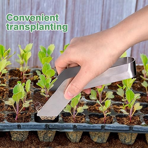 Miniatura 4 de 2 pinzas de trasplante de plántulas, pinzas de trasplante de plantas de jardinería de acero inoxidable de 6.7 pulgadas, pinzas de trasplante para