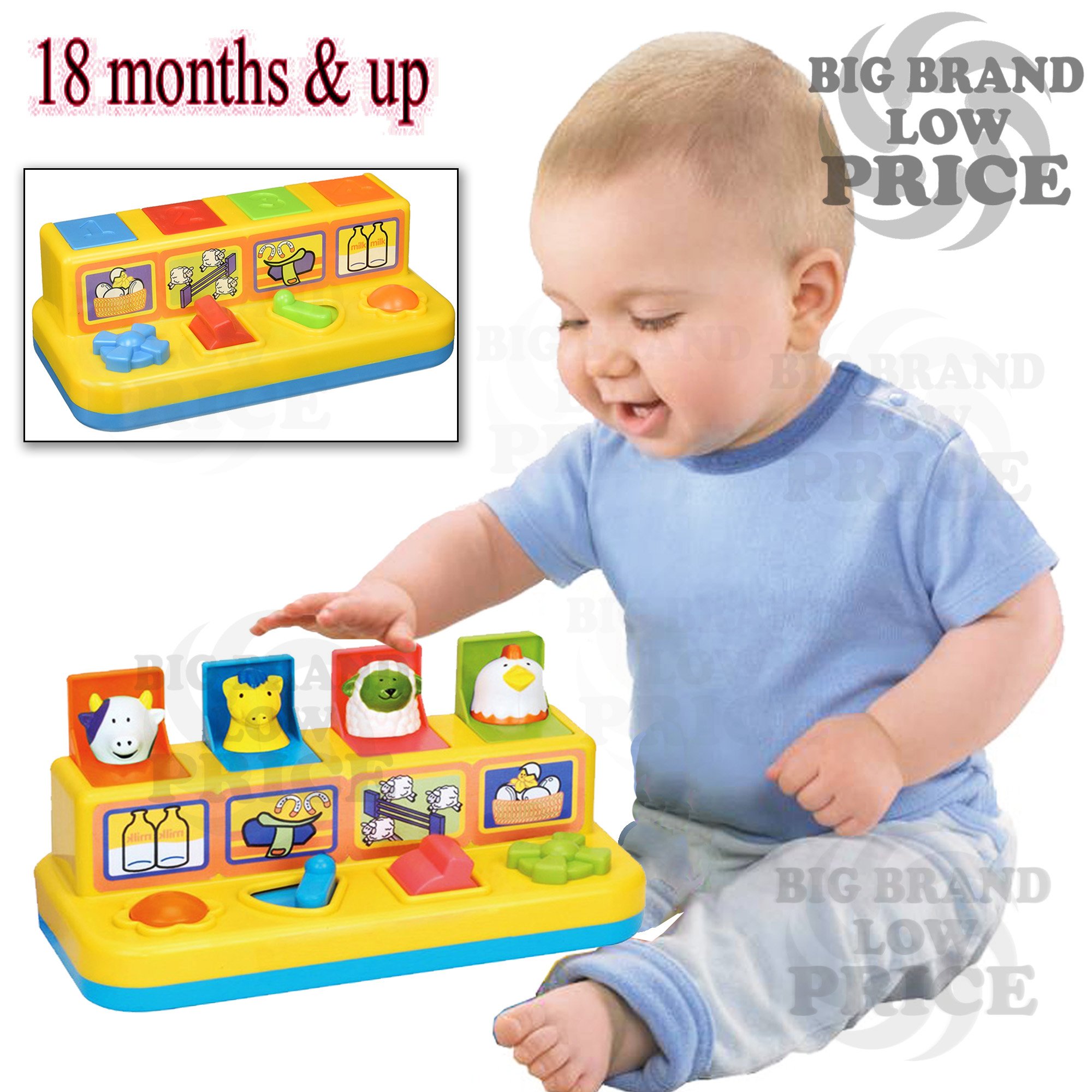 pop up farm animals toy