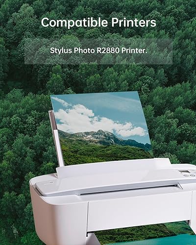 Miniatura 4 de Cartucho de tinta 96 remanufacturado de repuesto para T096 compatible con impresoras de tinta Stylus Photo R2880 (paquete de 9 T0961 T0962 T0963