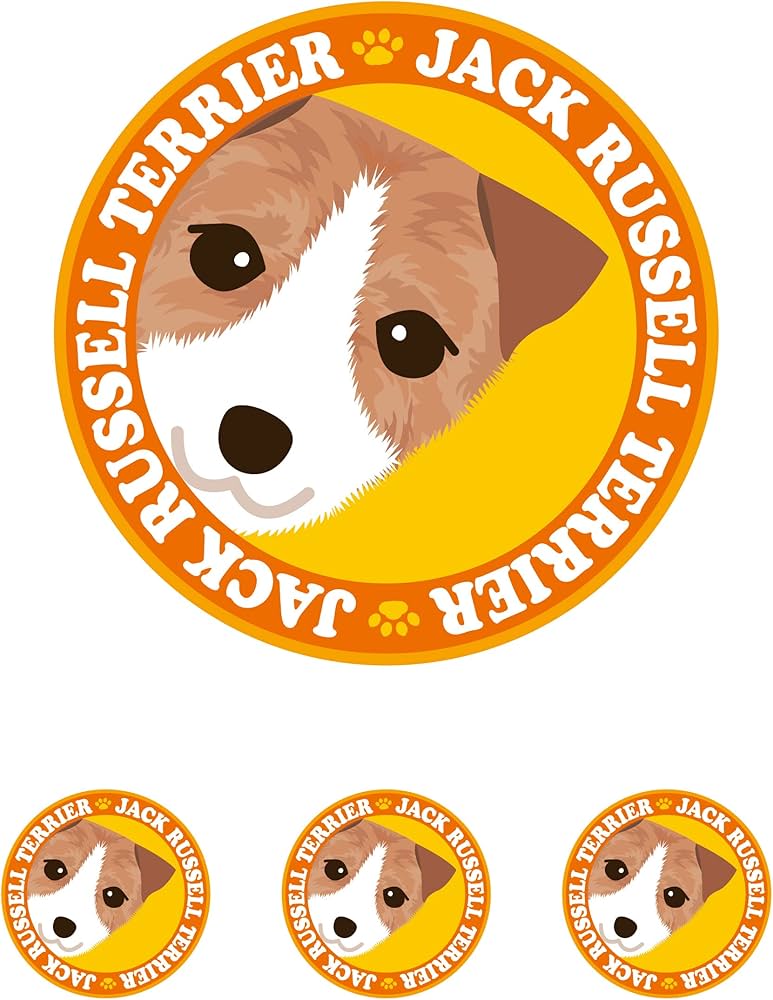 Amazon | 見つめる ジャックラッセルテリア ブロークン/ラフ 犬