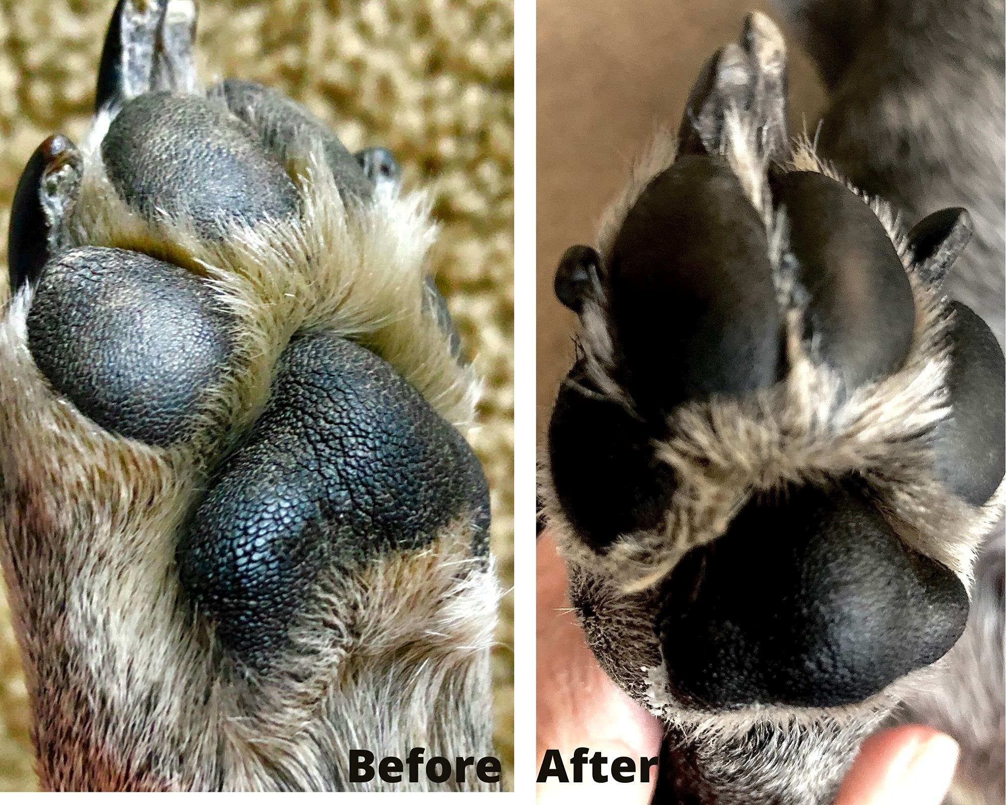 dog paw conditioner