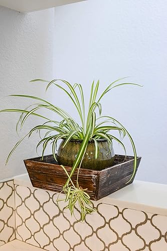 Miniatura 10 de Admired By Nature 1 caja de madera rústica pequeña de 12 pulgadas de largo, cesta de regalo, bandeja decorativa, organizador de almacenamiento