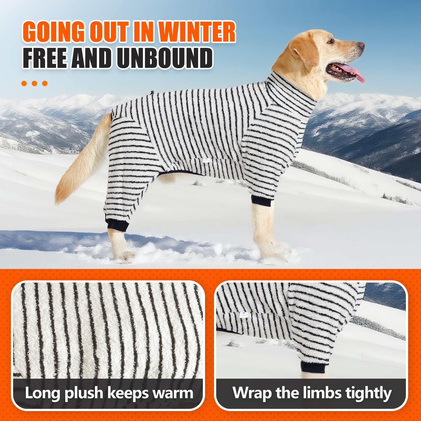 View 5