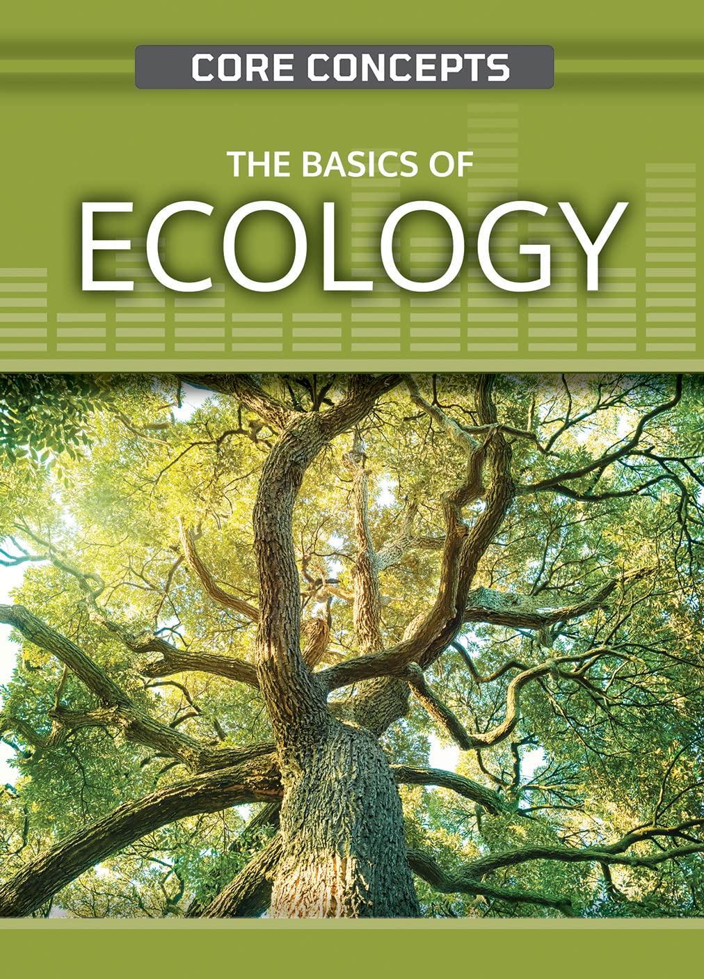 The Basics of Ecology (Core Concepts)