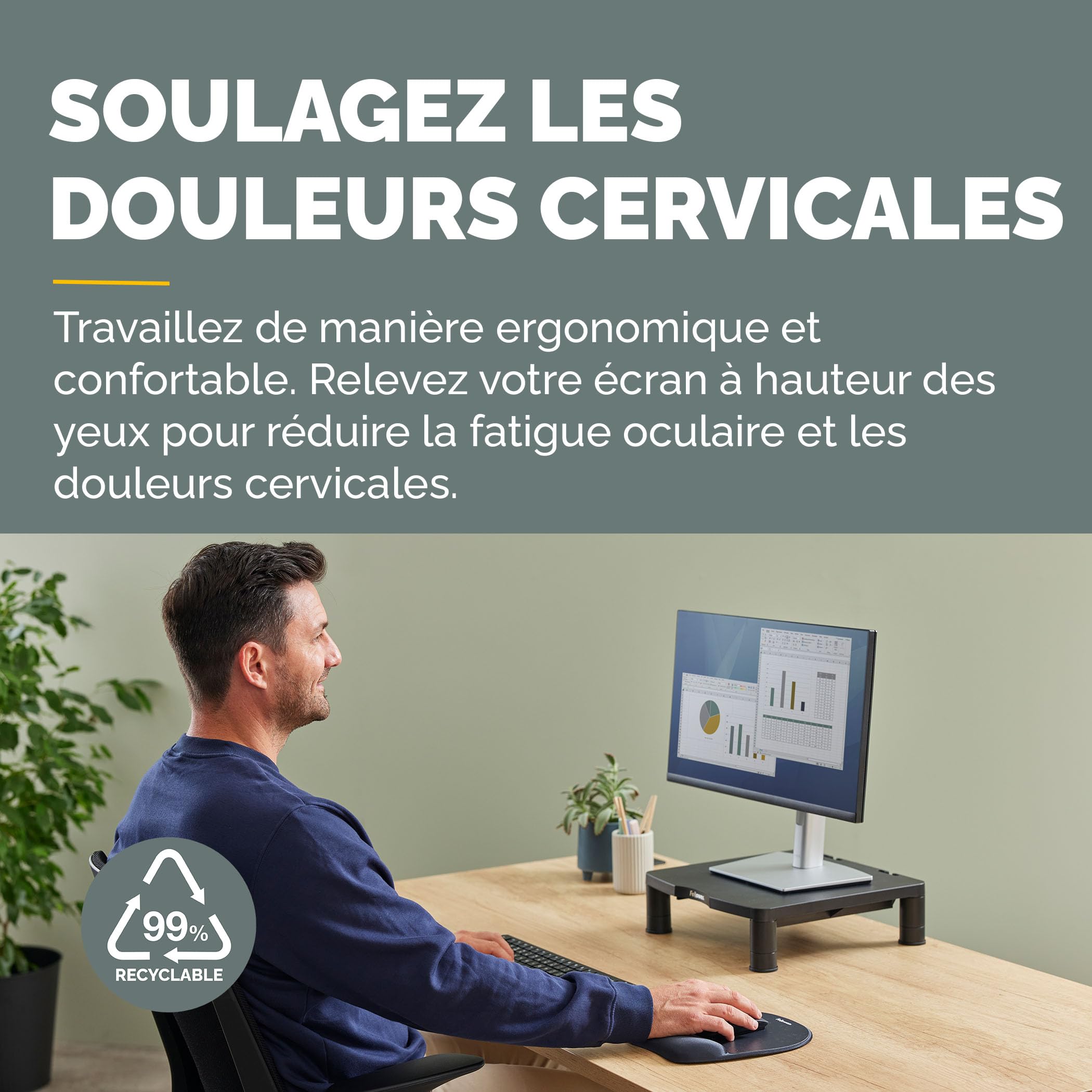 Image secondaire de Support d'écran Fellowes Everyday Noir - Réglable et Ergonomique