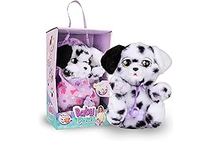 Baby Paws - Adorable Dalmatian Puppy