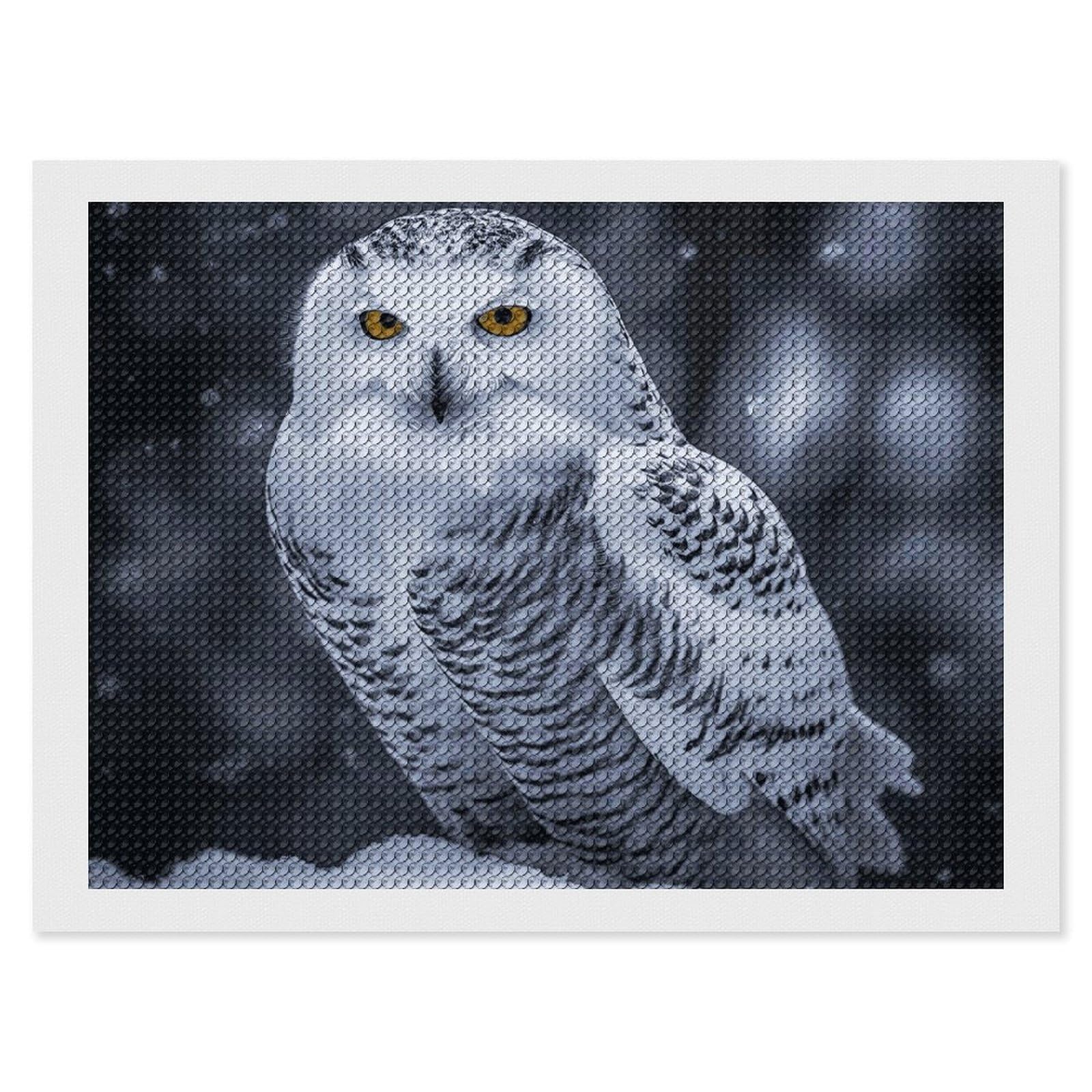 Arctic Owl Diamond Painting Kits for Adults, DIY 5D Diamond Painting Kits for Beginners, Round Full Drill Diamond Dots Paintings, Diamonds Pictures Gem Art for Crafts Home Decor 12"x16"