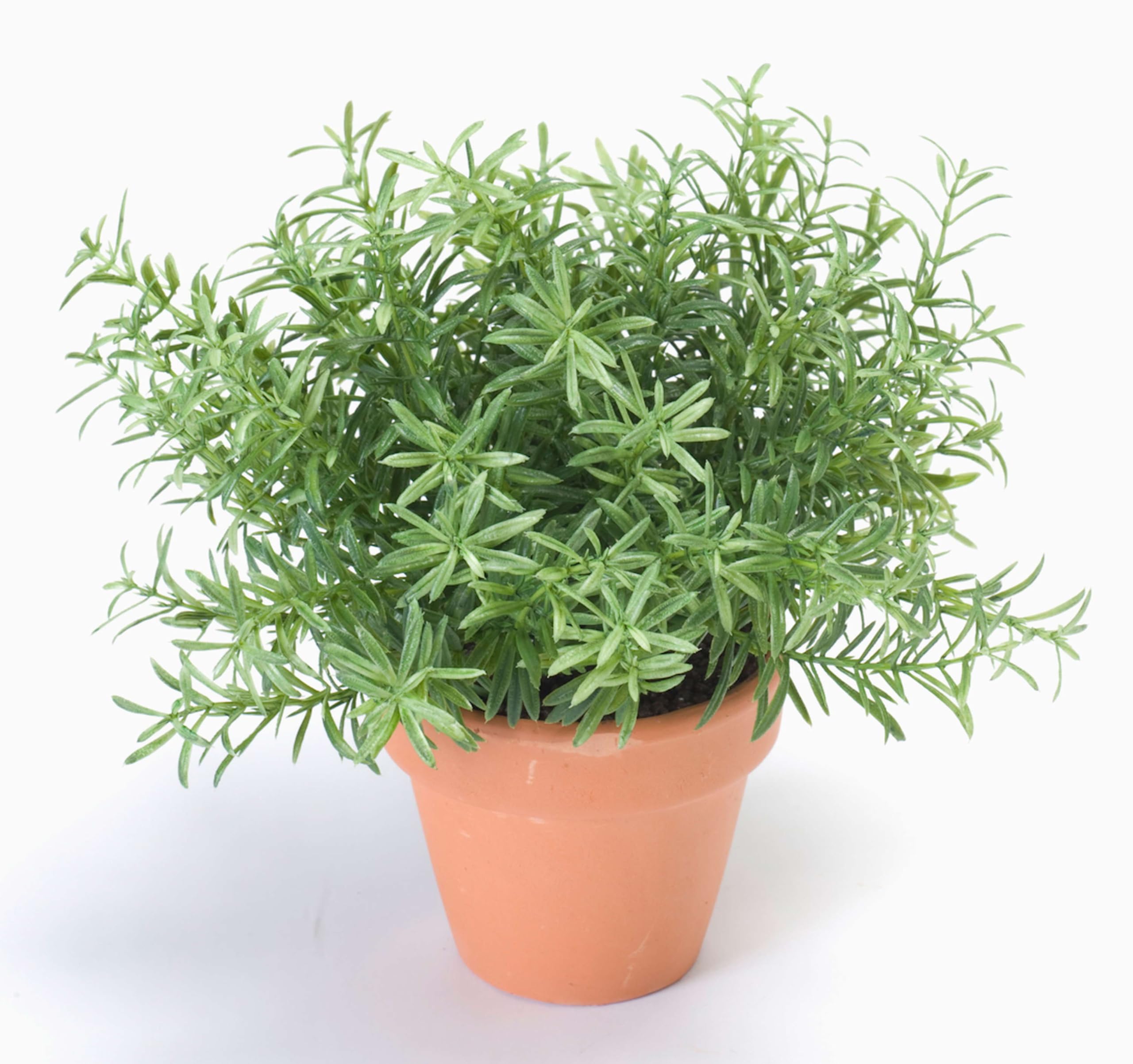 Artplants Green .De Fake Rosemary Joshua In Clay Pot, 9"/23Cm, Ø7"/17Cm - Artificial Plants/False Rosemary