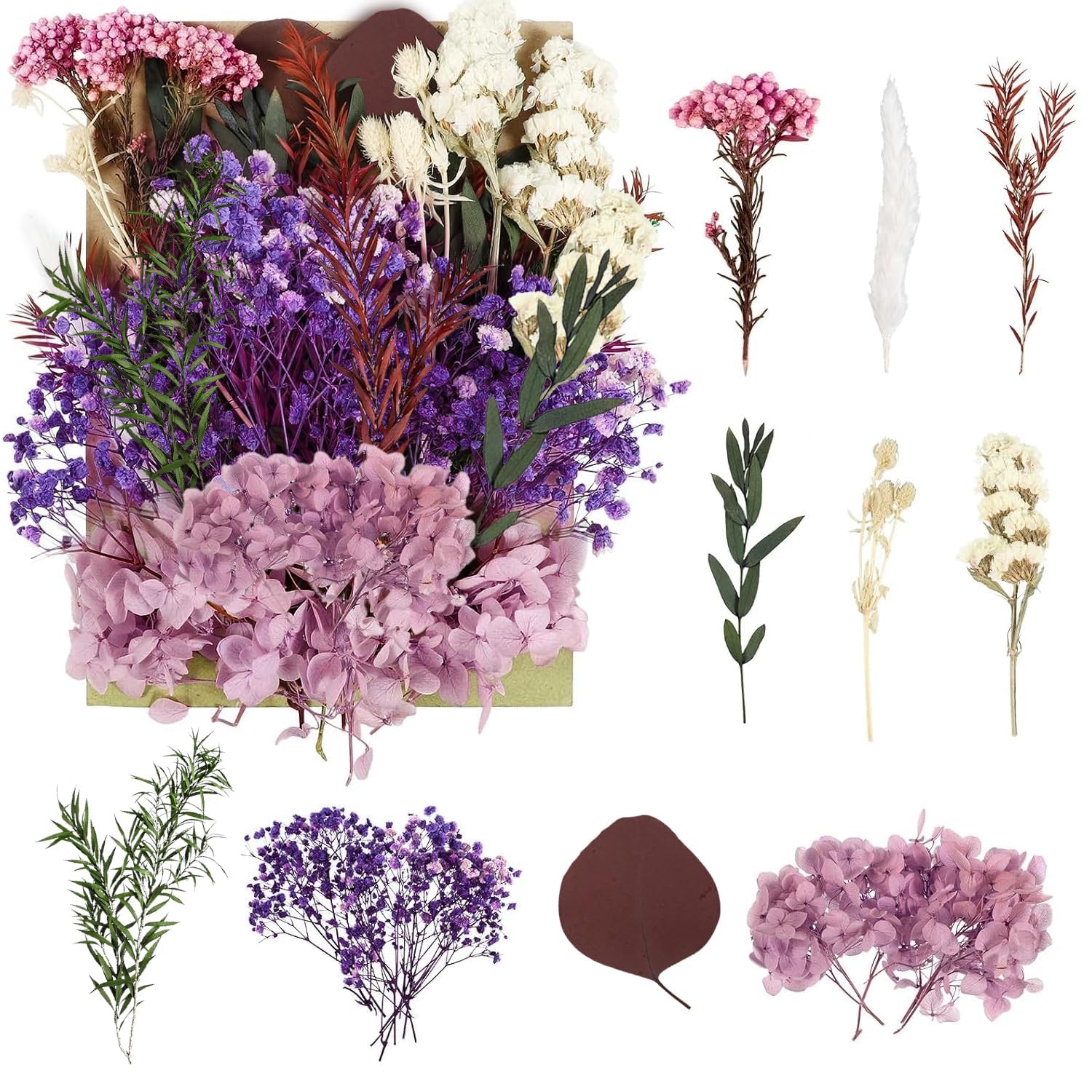 Fiori Secchi Pressati per Artigianato, Resina, Scrapbooking, Creazione di Gioielli e Decorazioni Floreali (Viola)