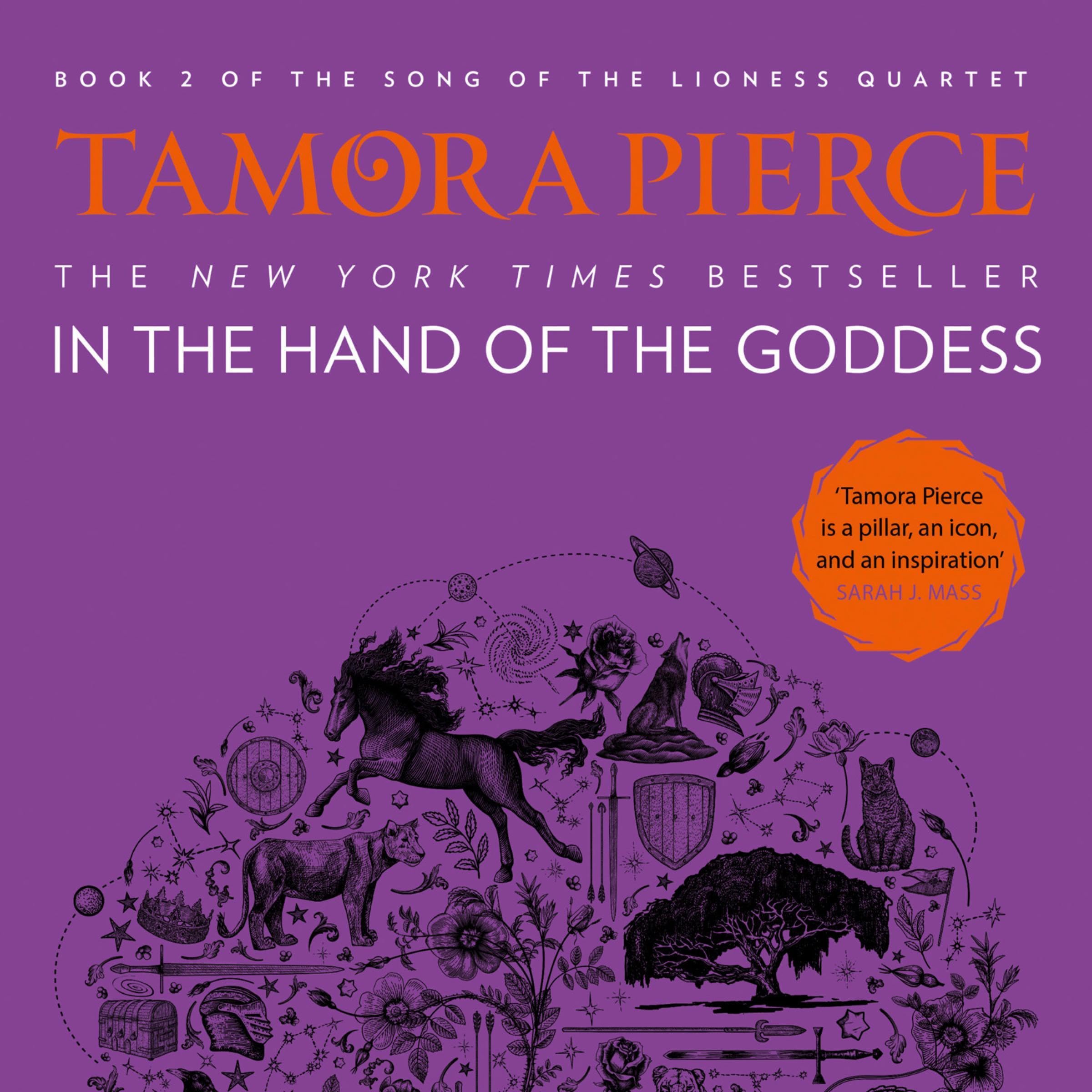 Cover art for In the Hand of the Goddess