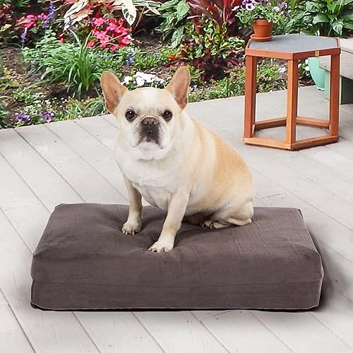 Miniatura 8 de Pet Support Systems cama ortopédica lavable Espuma de memoria perro, pequeño, 22 pulgadas x 16 pulgadas x 4 pulgadas, gris carbón