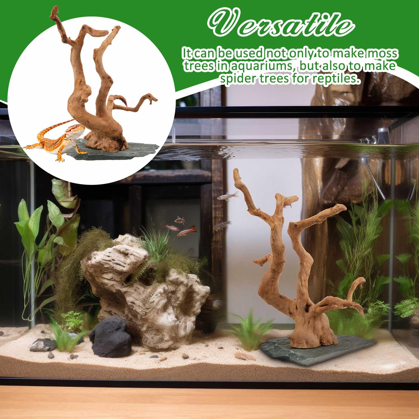 AceOrbit Grande legno naturale di ragno, 21,5-29,9 cm, legno naturale per acquario, legno di ragno su pietra ardesia, per acquario, terrario, vivario, acquario per rettili, decorazione per acquari