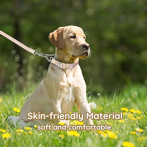 Miniatura 6 de BELLA & PAL Martingale - Collar para perro, impermeable, para entrenamiento de perros con hebilla de liberación rápida, cadena de acero inoxidable,