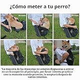 Ver la foto 8
