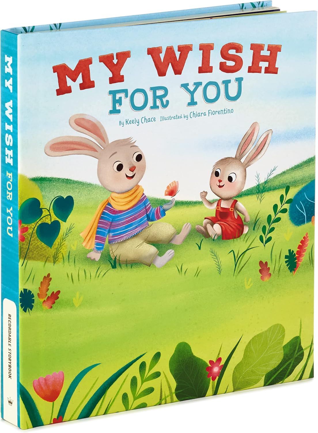 Hallmark Recordable Book for Children (My Wish for You) Baby