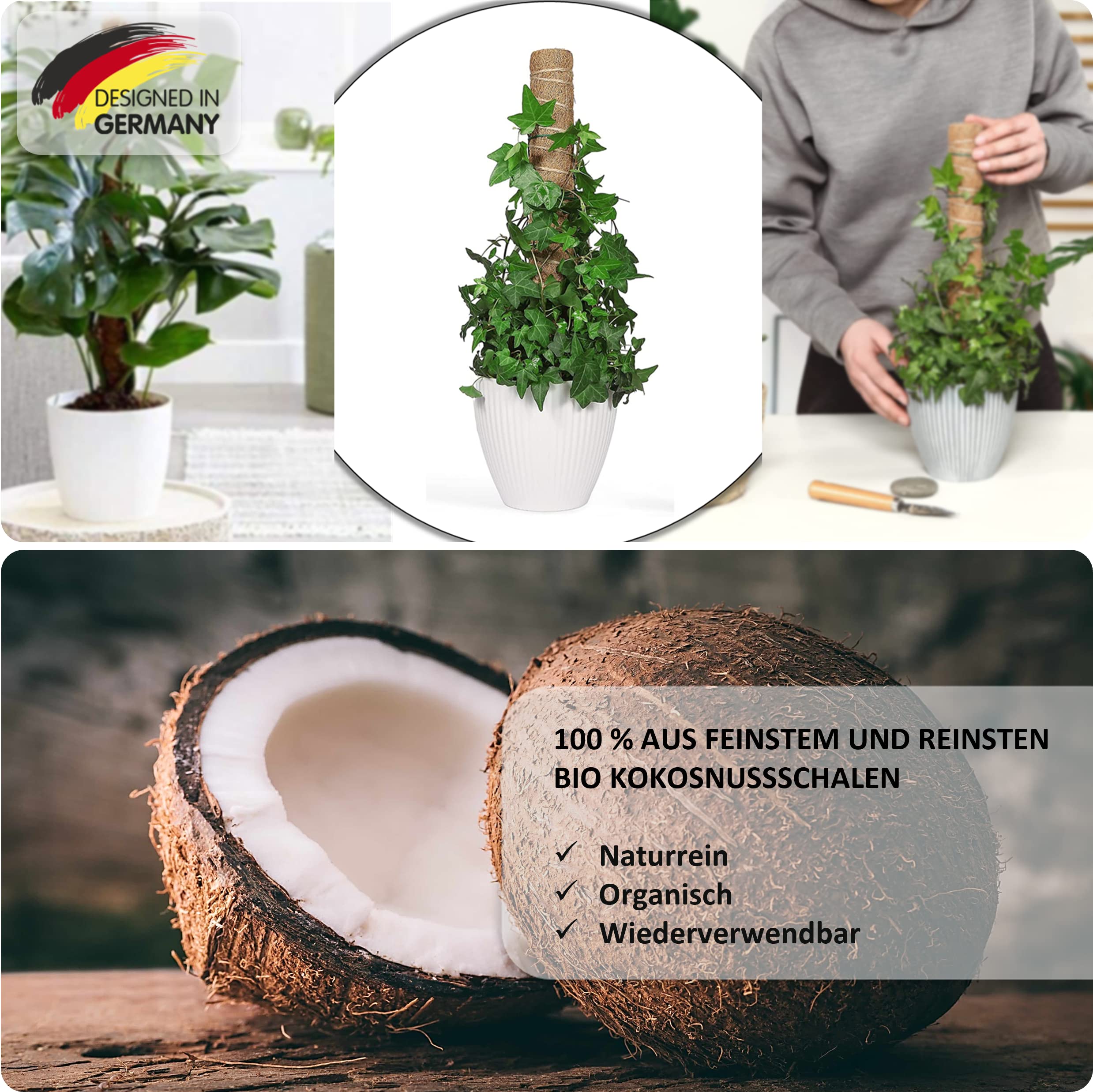 R&M Orient 2 x Natural Coconut Sticks, Set of 10, Plant Signs with Markers, 40 x Ties & 2 x Watering System, Plant Stakes, Trellis, Garden, Herbs, Plants, Weatherproof (2 Pieces - 41 cm) - Image 3