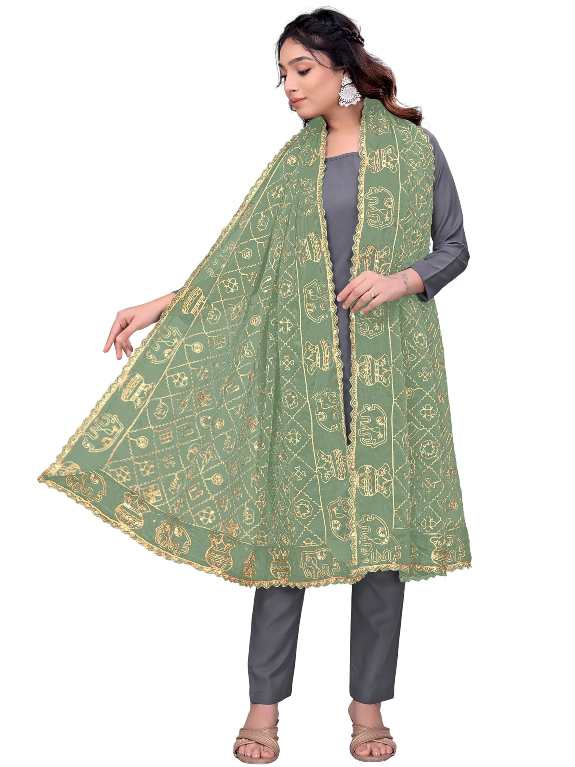 Fandy Hathi Embroidered Art Silk Dupatta-image-30