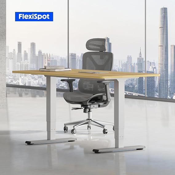 FLEXISPOT E5 Electric Standing Desk 2 Motors 3 Stage 120 * 60CM One Piece Desktop Height Adjustable Desk with Memory Smart Panel, Anti-collision System, White+Maple
