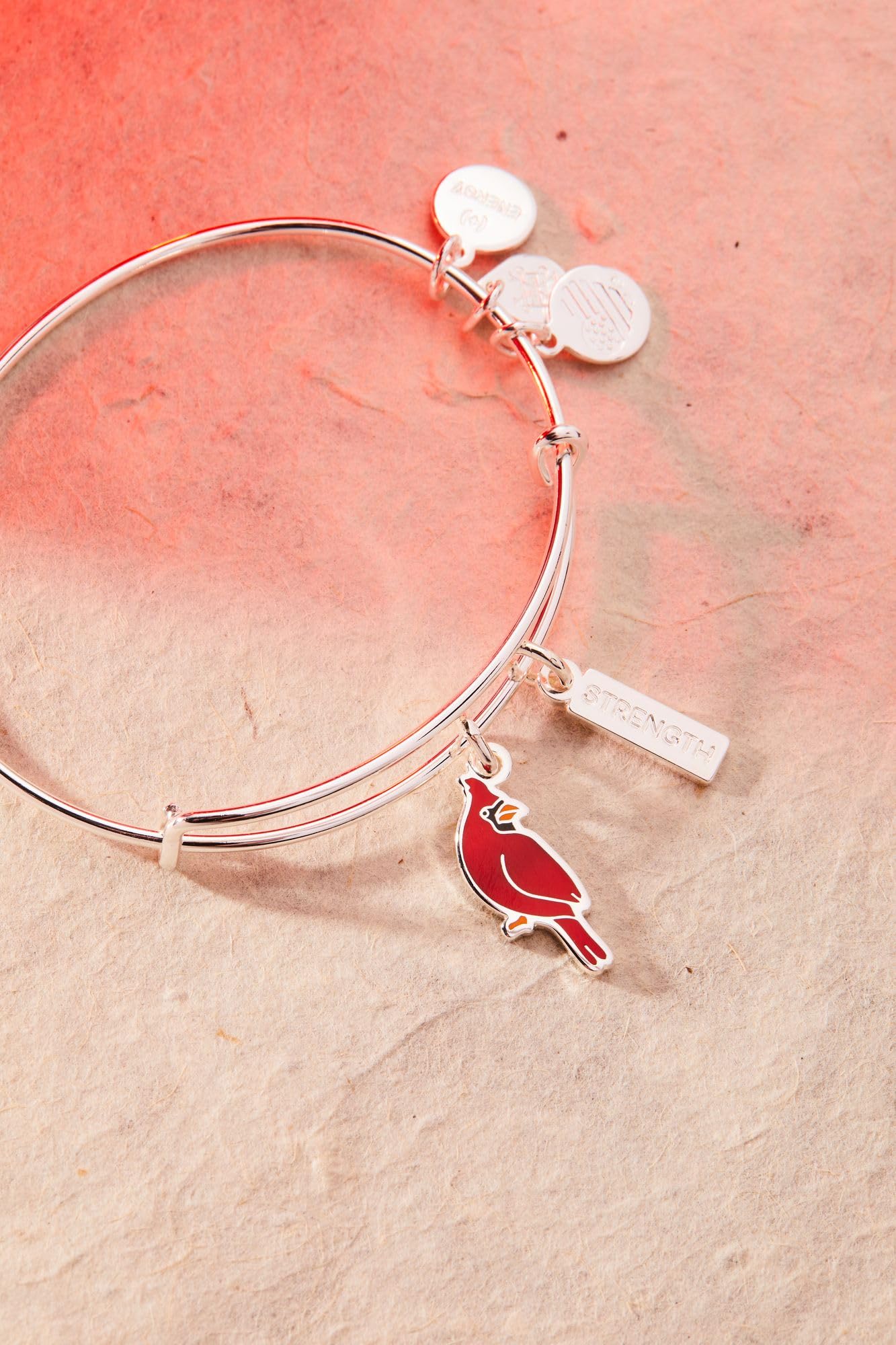 Alex and Ani Strength' Cardinal Duo Charm Bangle Bracelet