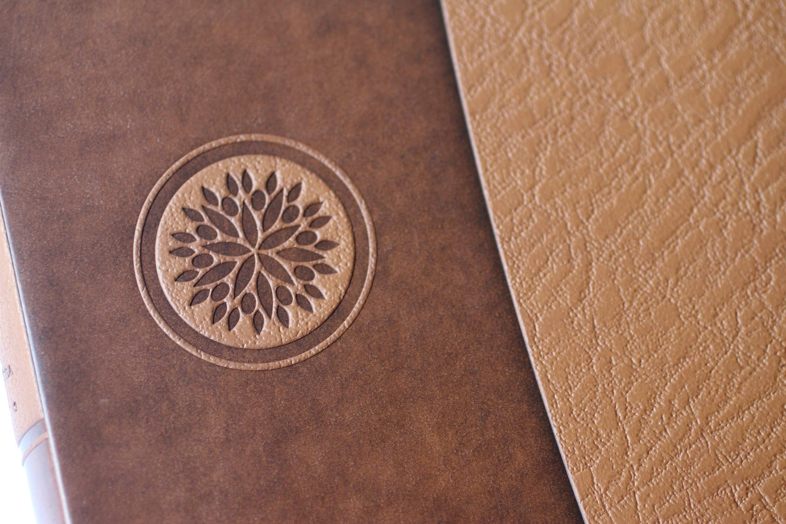 Biblia Reina Valera 1960 Tamaño grande, letra grande piel canela con cremallera / Spanish Holy Bible RVR 1960. Large Size Large Print Brown Leather ... Cremallera, con Imágenes De Tierra Santa