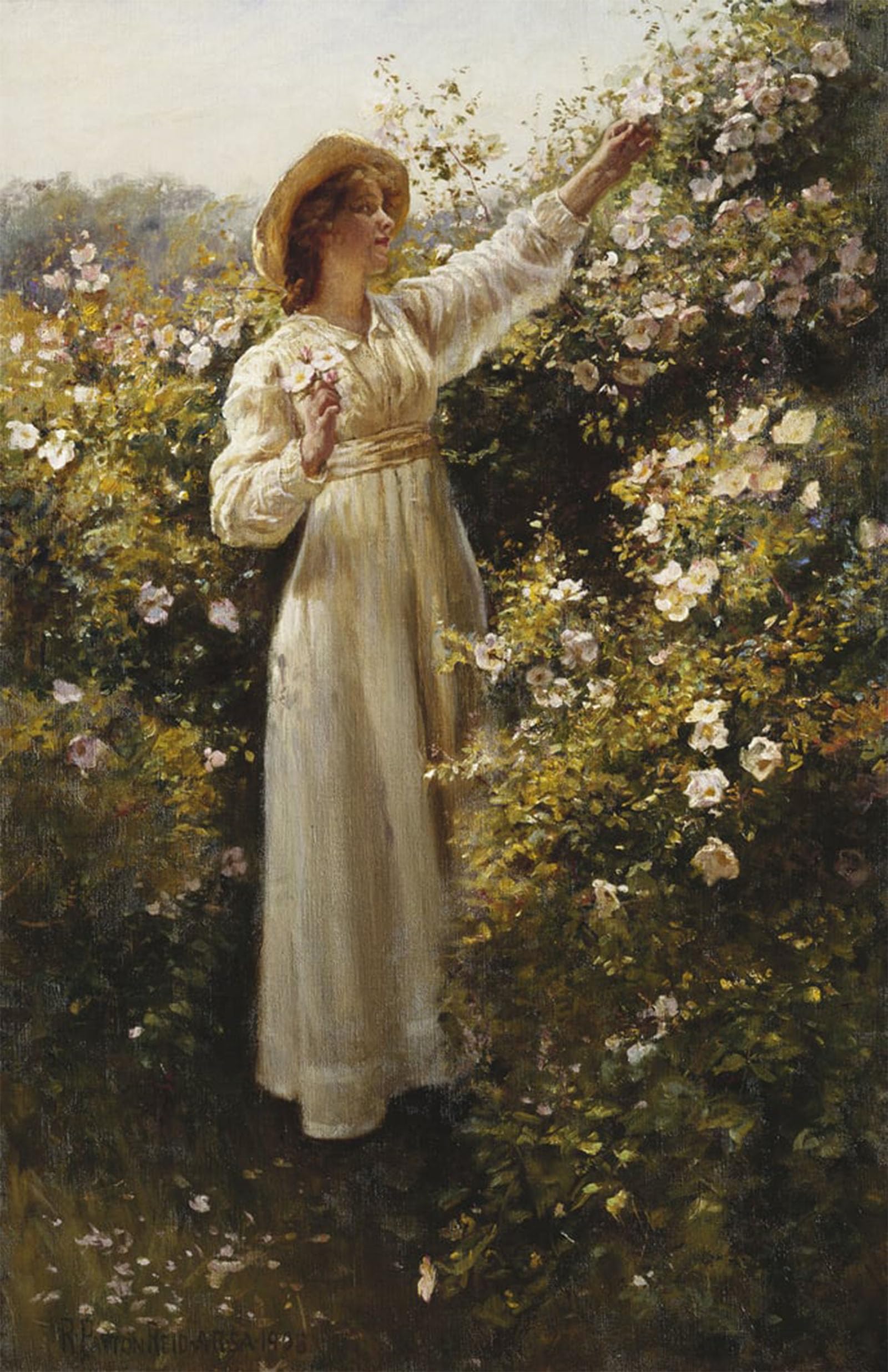 SERENDIPITP Vintage Picture Print on Canvas Wall Art Poster Wild Rose by Robert Payton Reid Artwork Print Poster for Wall Decor 60x90cm