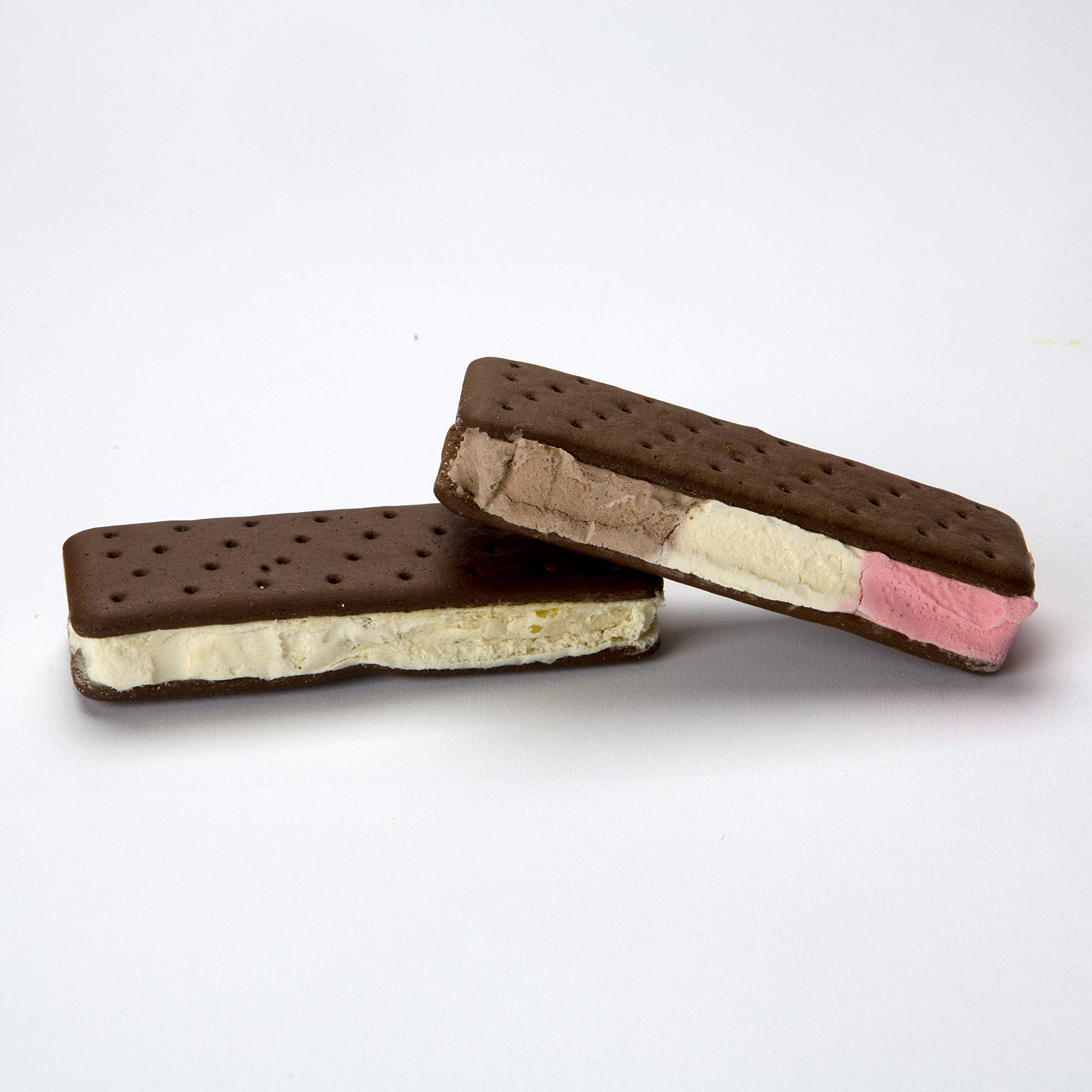 Astronaut Foods FreezeDried Ice Cream Sandwich, NASA Space Dessert