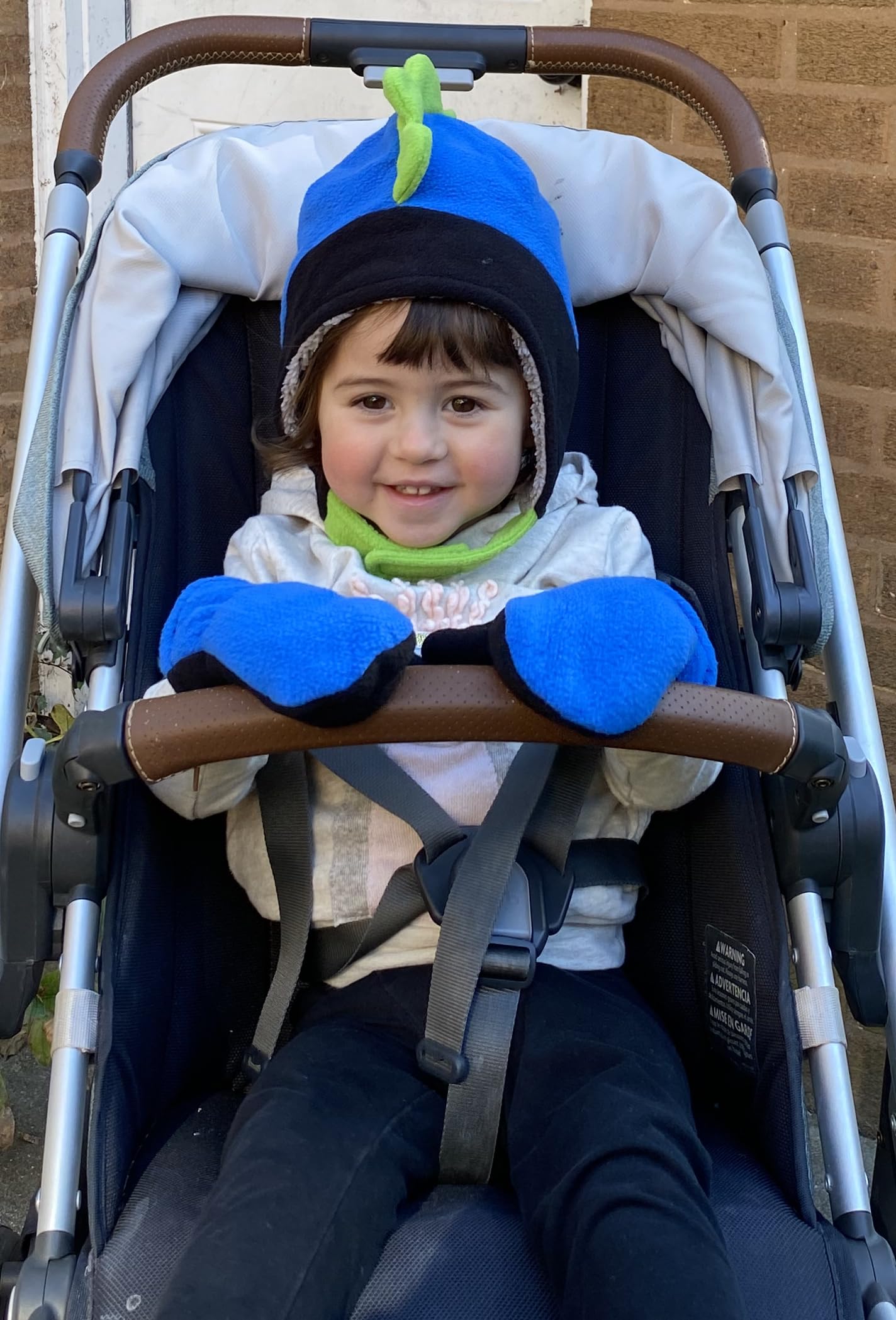 N'Ice Caps Boys Soft Sherpa Lined Micro Fleece Dino Hat and Mitten Set