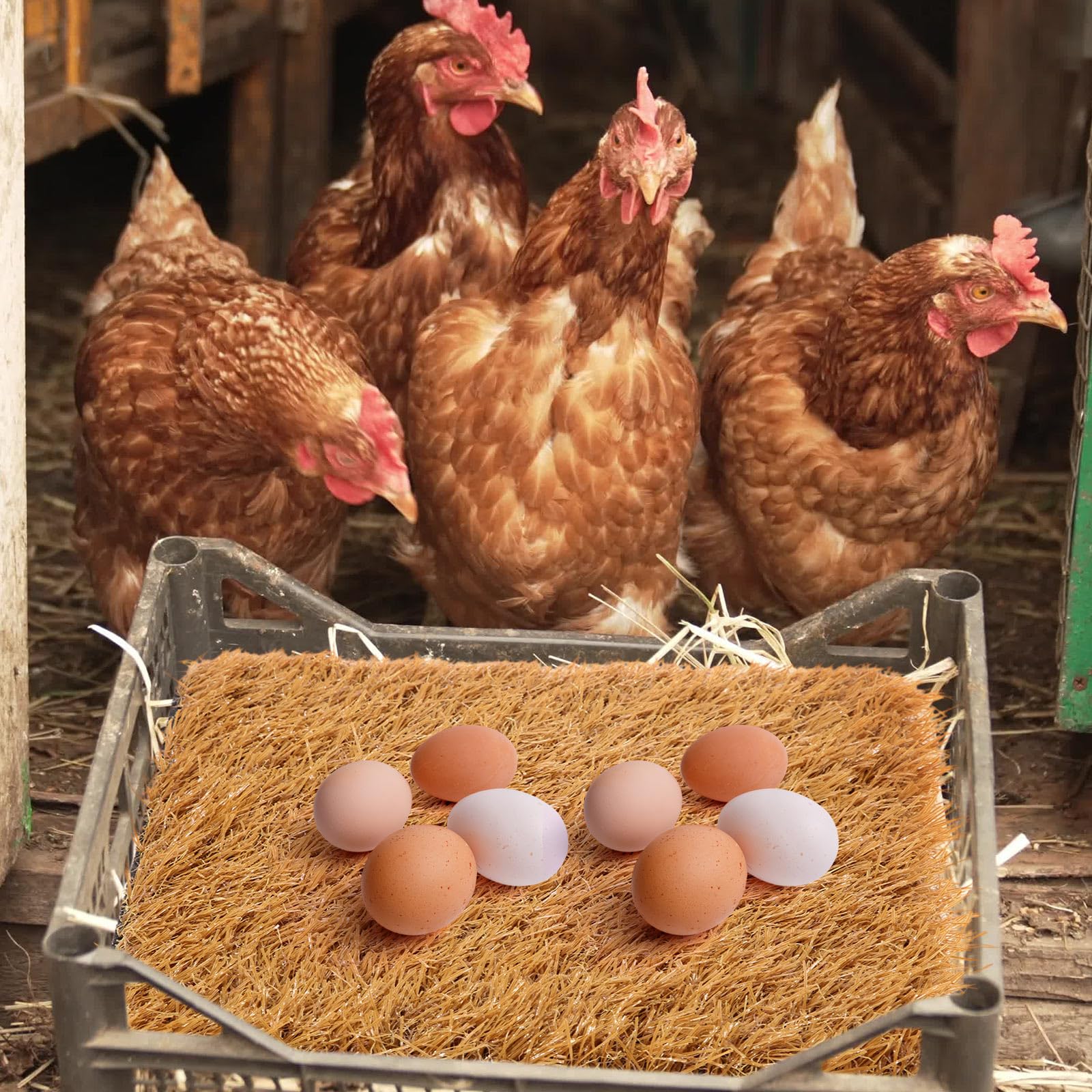 Zhengmy 12 Pcs Chickens Nesting Pads Set Nest Box Brunei
