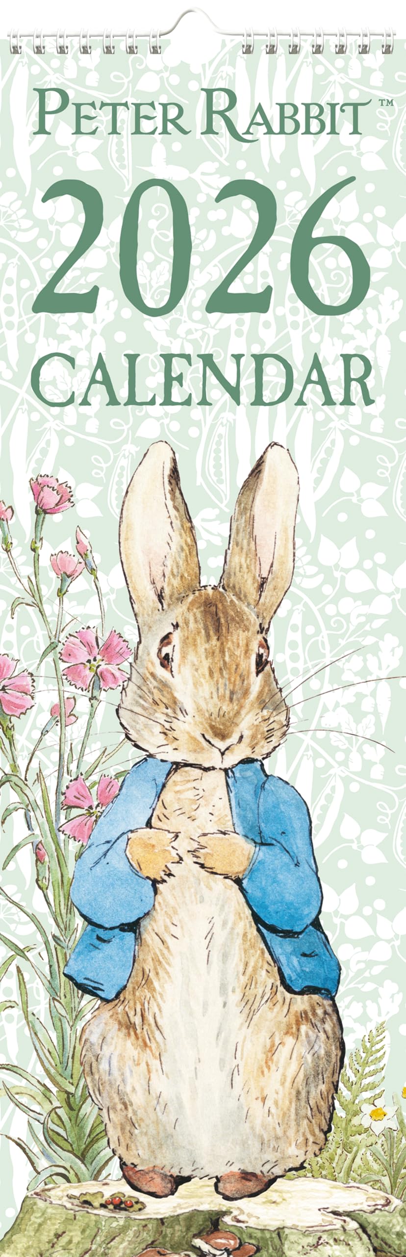 Amazon | Peter Rabbit(ピーターラビット) 2026年 スリム壁掛け