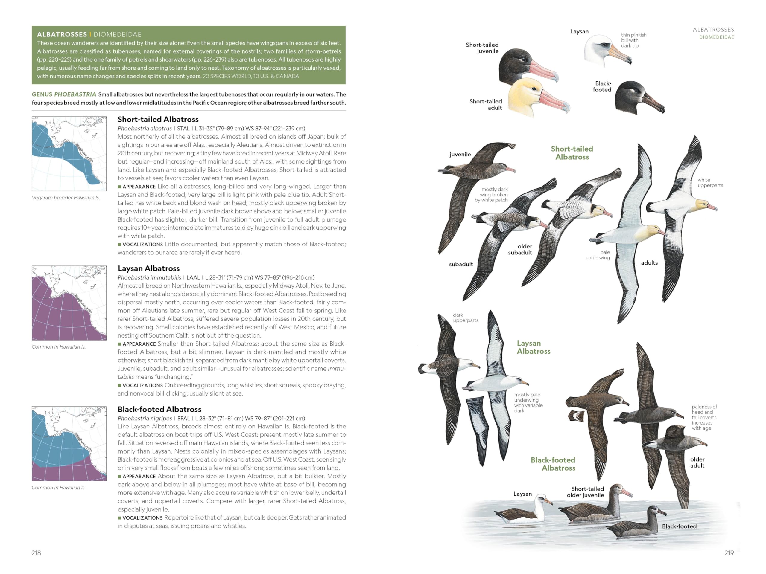 National Geographic Field Guide to the Birds of the United States and Canada, 8th edition