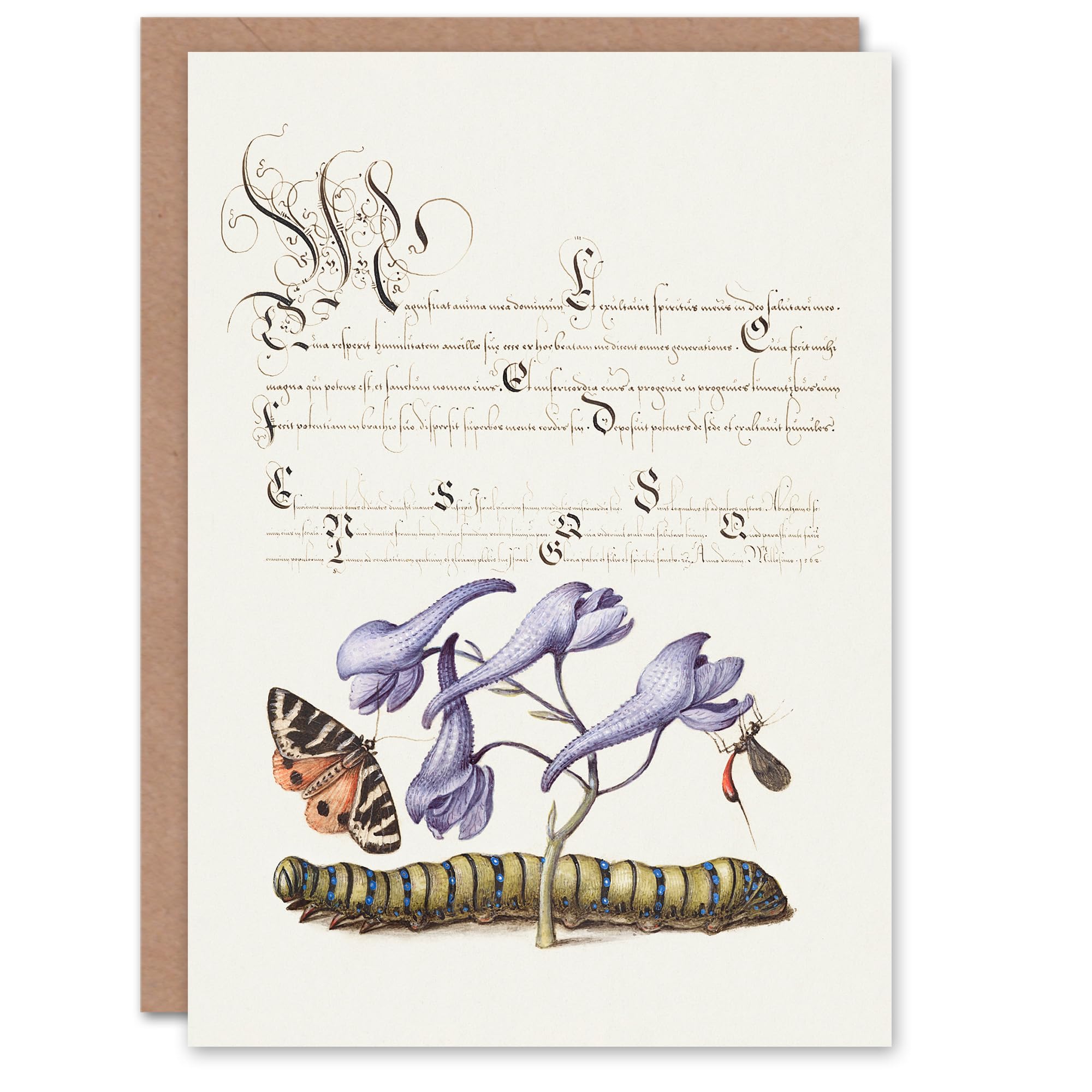 Artery8 Model Book of Calligraphy Art Card Butterfly Caterpillar and Flower