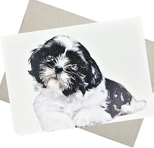 Miniatura 1 de Shih Tzu - Tarjeta de cumpleaños para mujeres y hombres (5 x 7 pulgadas, 1 tarjeta, interior en blanco) también tarjeta de felicitación shih tzu