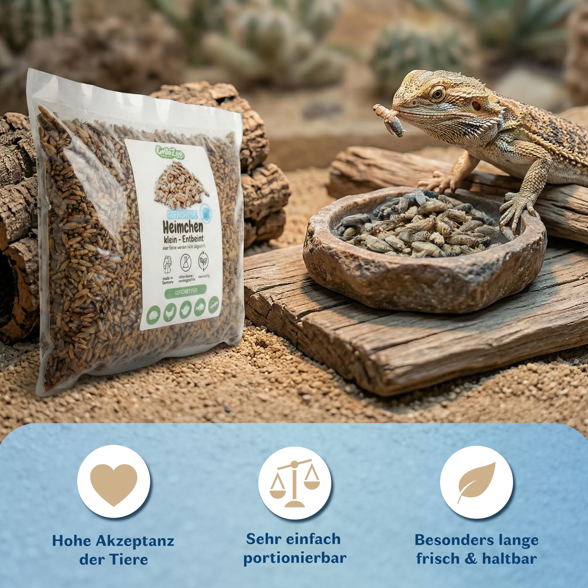 Gefrorene Heimchen – Insekten Vogelfutter für Reptilien, Vögel, Fische & Hühner | Proteinreiche Grillen | Alternative zu Mehlwürmer getrocknet | Made in Germany -2kg groß