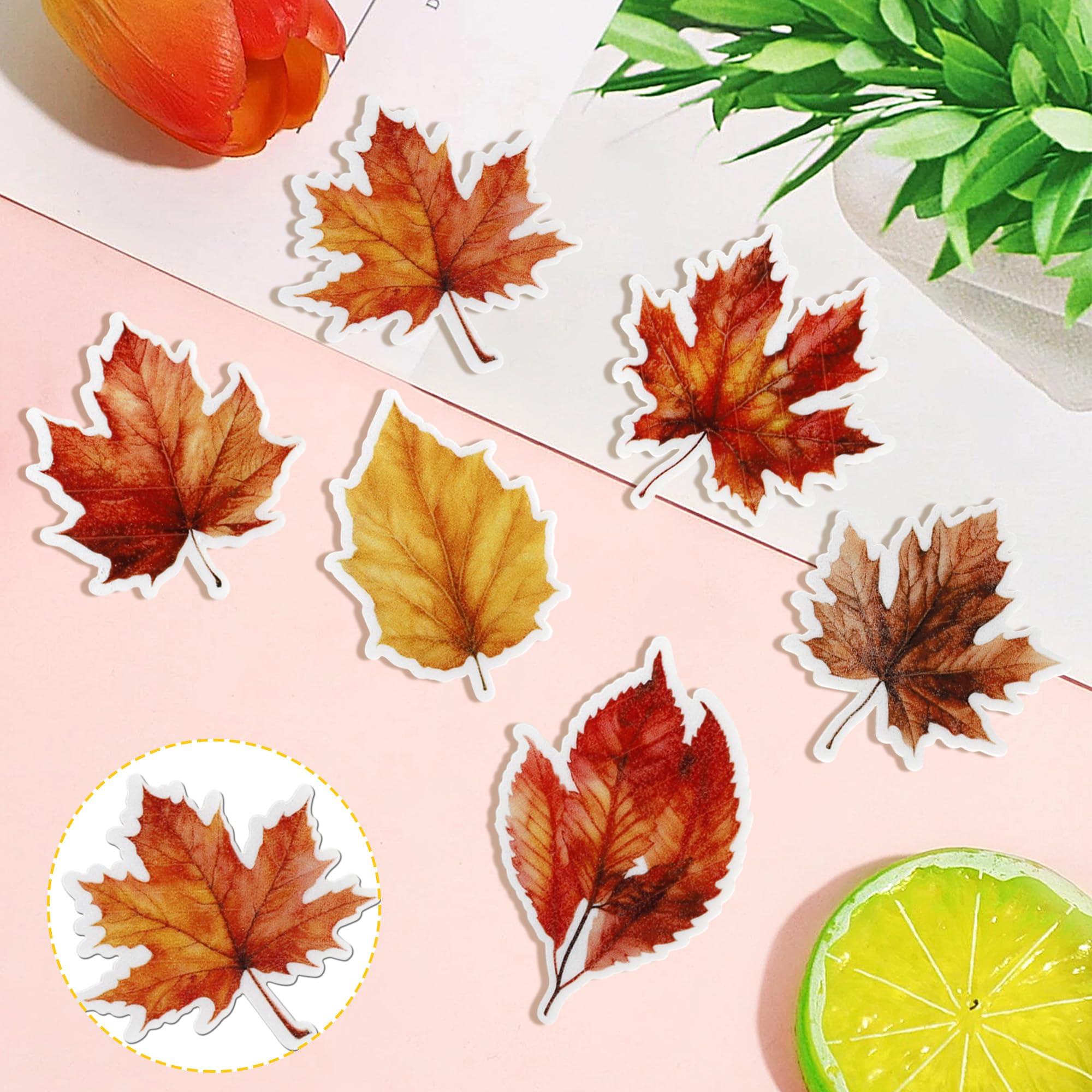 Hojas De Otoño Precortadas - España