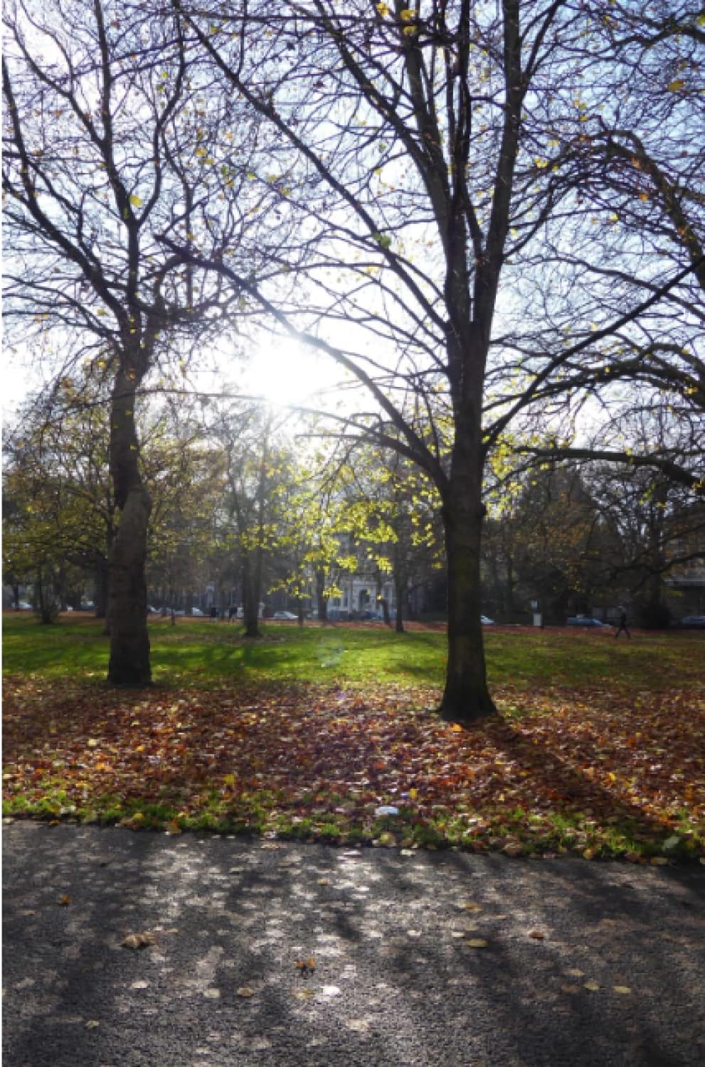 Sefton Park 3 (Parks of Liverpool)