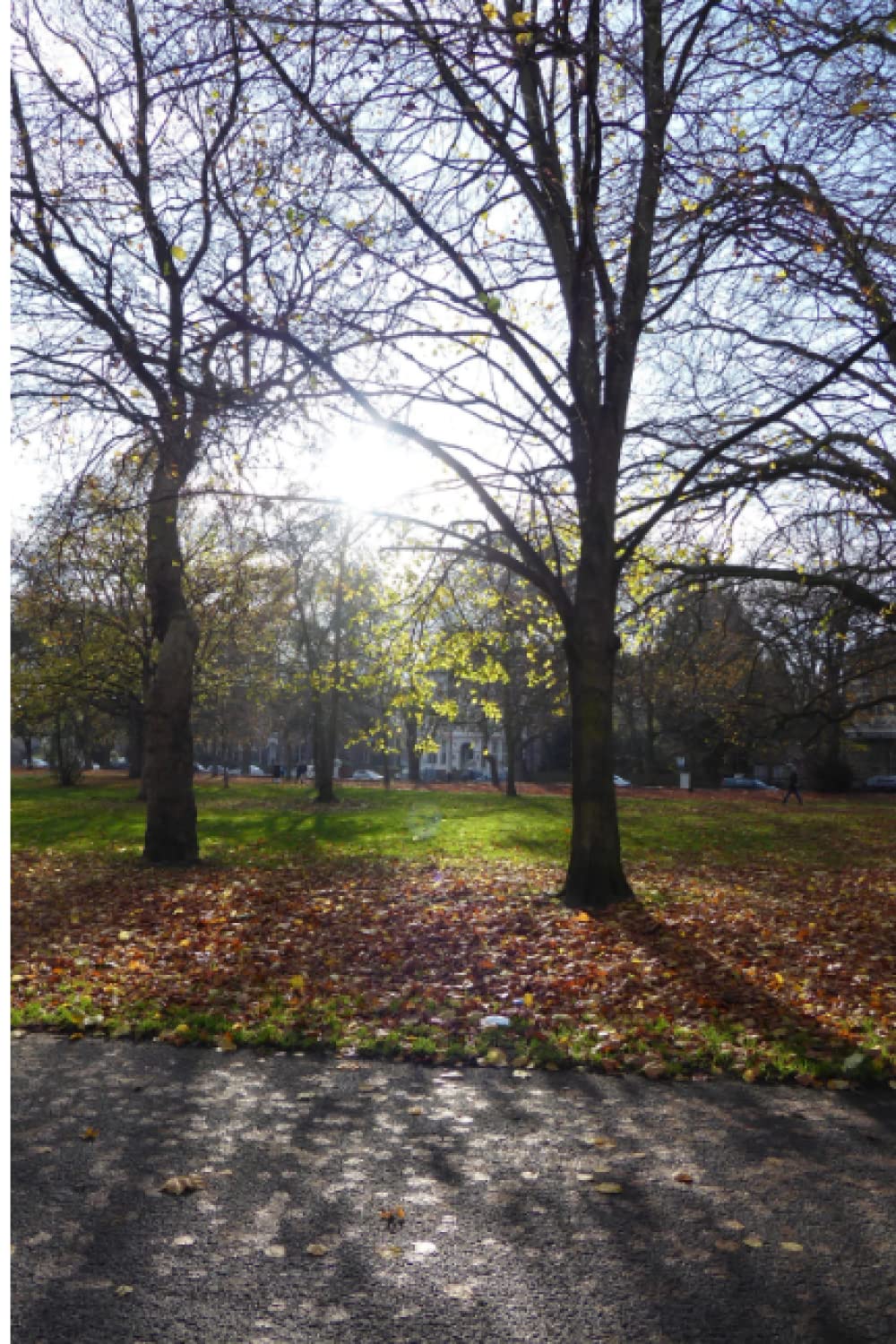 Sefton Park 3 (Parks of Liverpool)