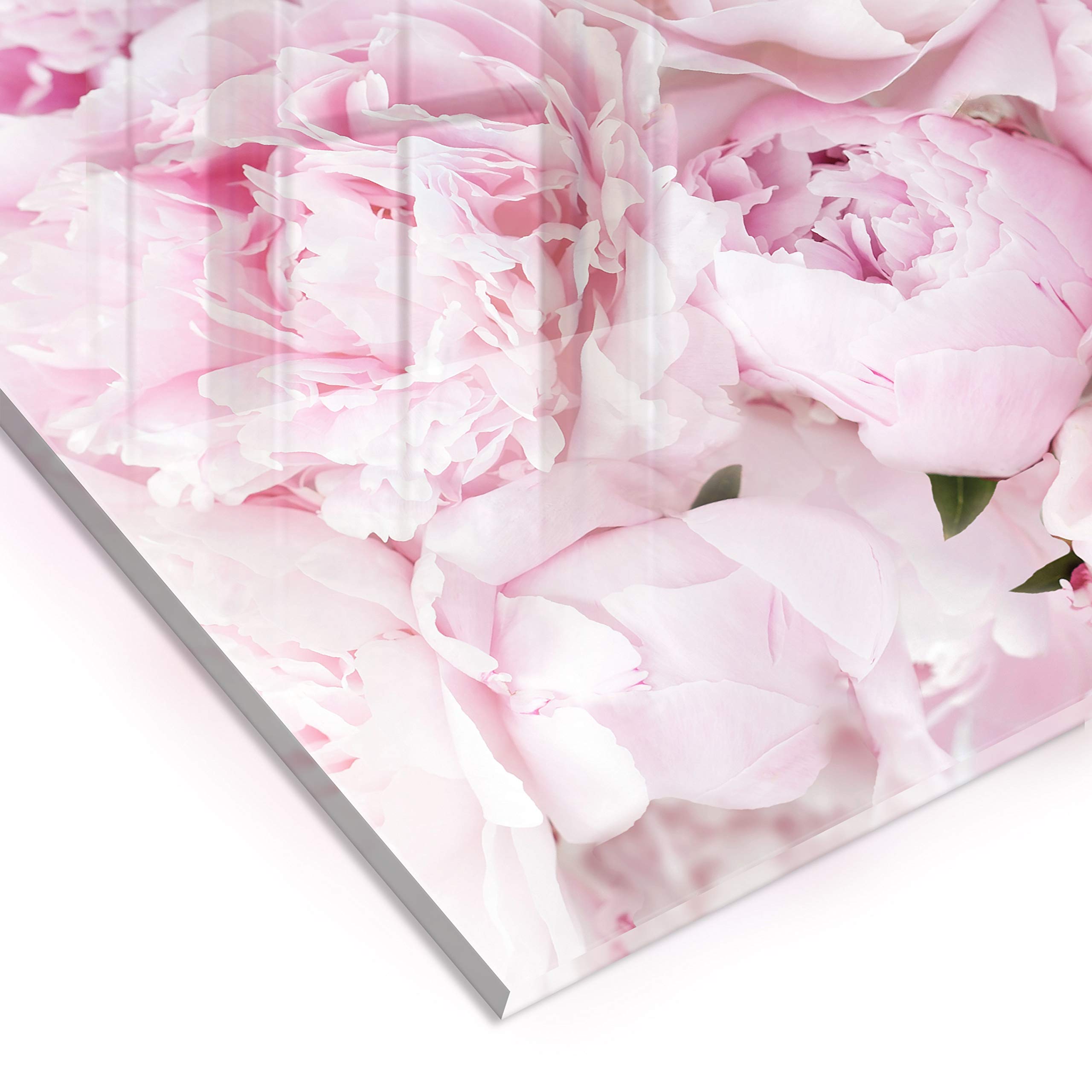 murando - Crédence Verre Cuisine 60x60 cm - Plaque Anti-Projection - Couvercle Anti-éclaboussures crédence - Plaque en Verre trempé - Fleurs Pivoine Nature Pétales Roses b-C-0639-aq-a