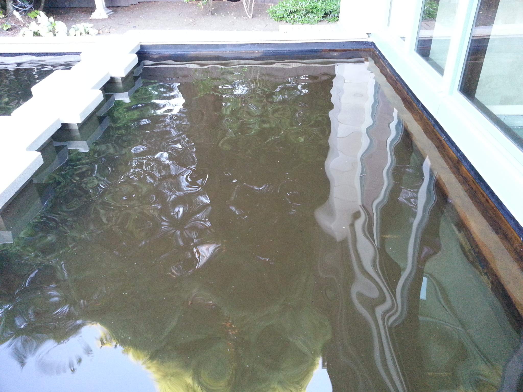 Liquid Rubber NeoPond Waterproof Pond Sealant Fish and Plant Safe