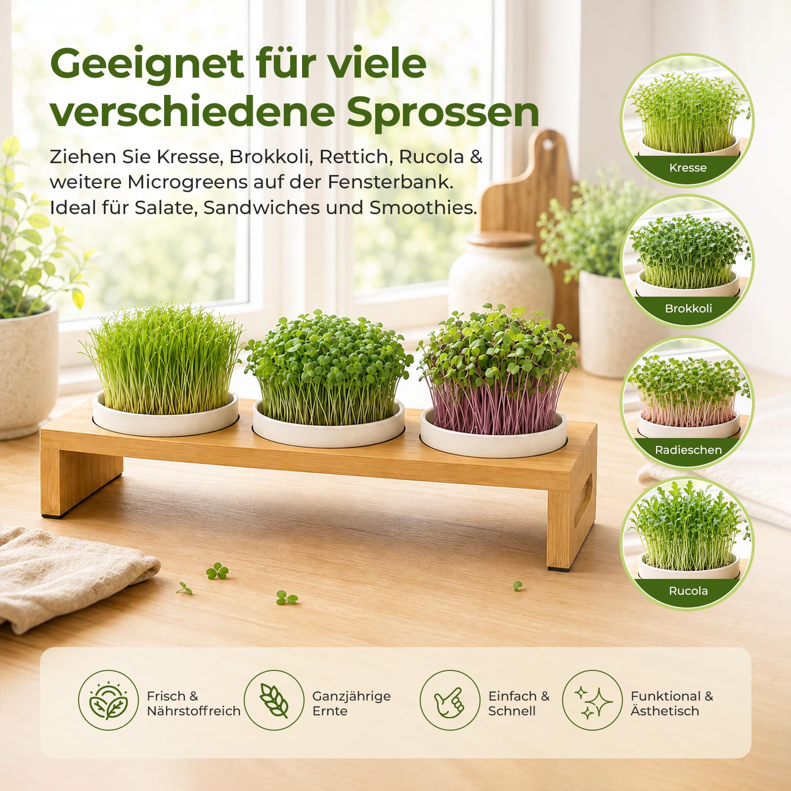 Sprossen Anzuchtset 44cm mit 3 Keramik Kresse Anzuchtschalen